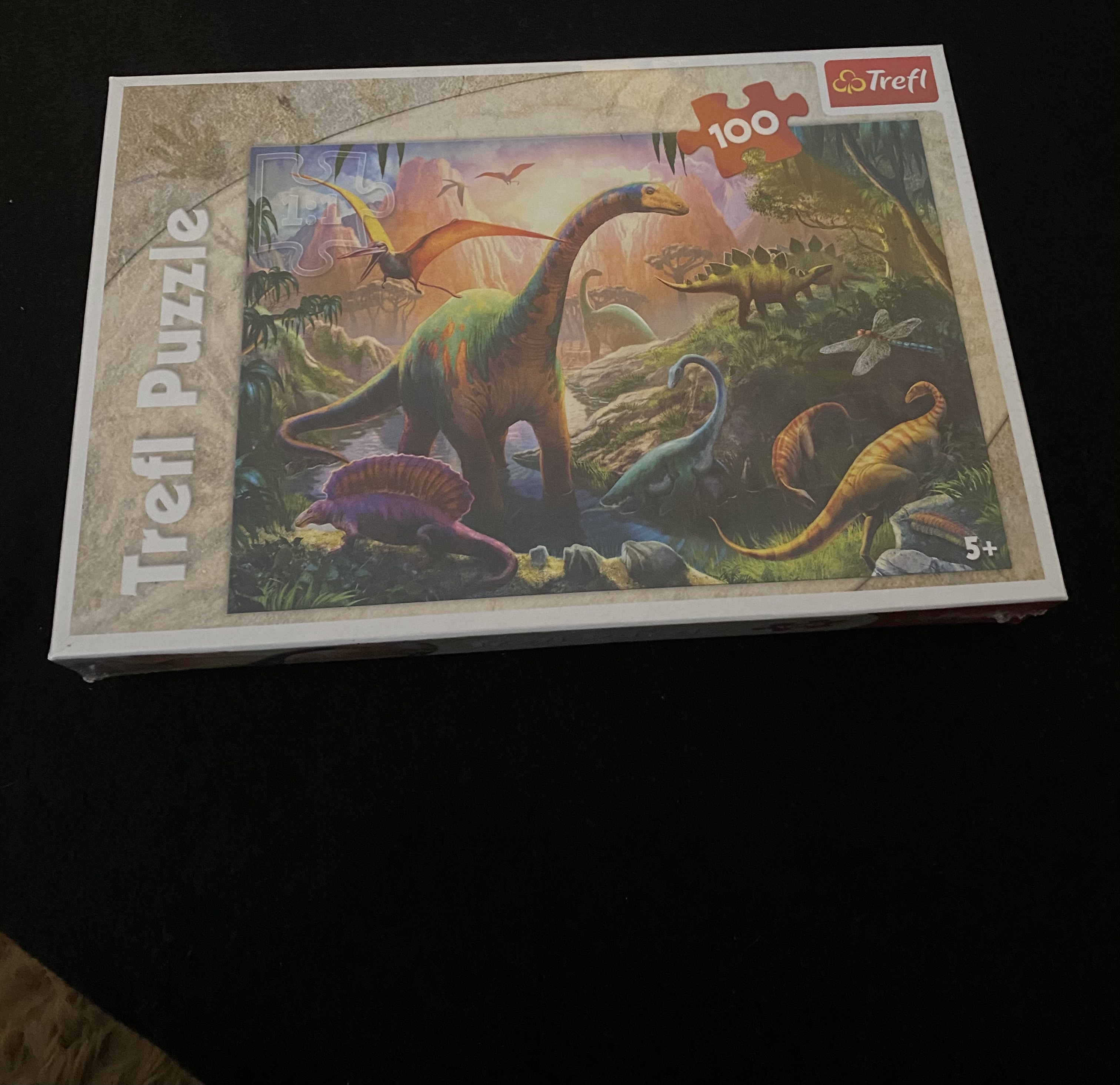 Dinos nets