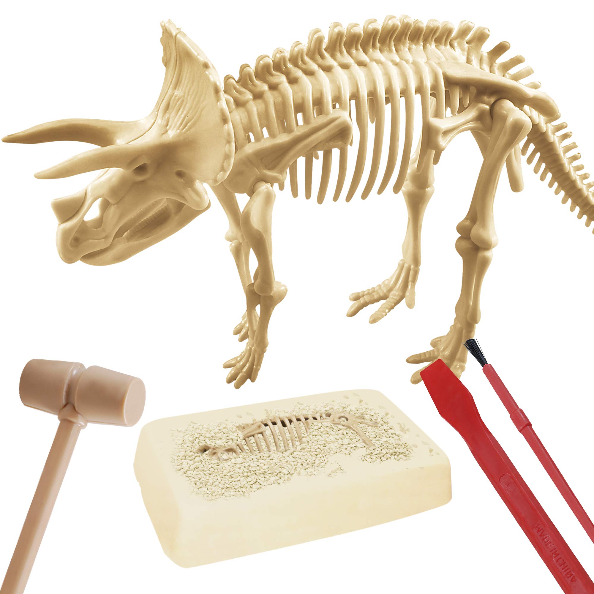 explora-kit-de-d-couverte-pl-tre-creuser-tric-ratops-squelette image 2