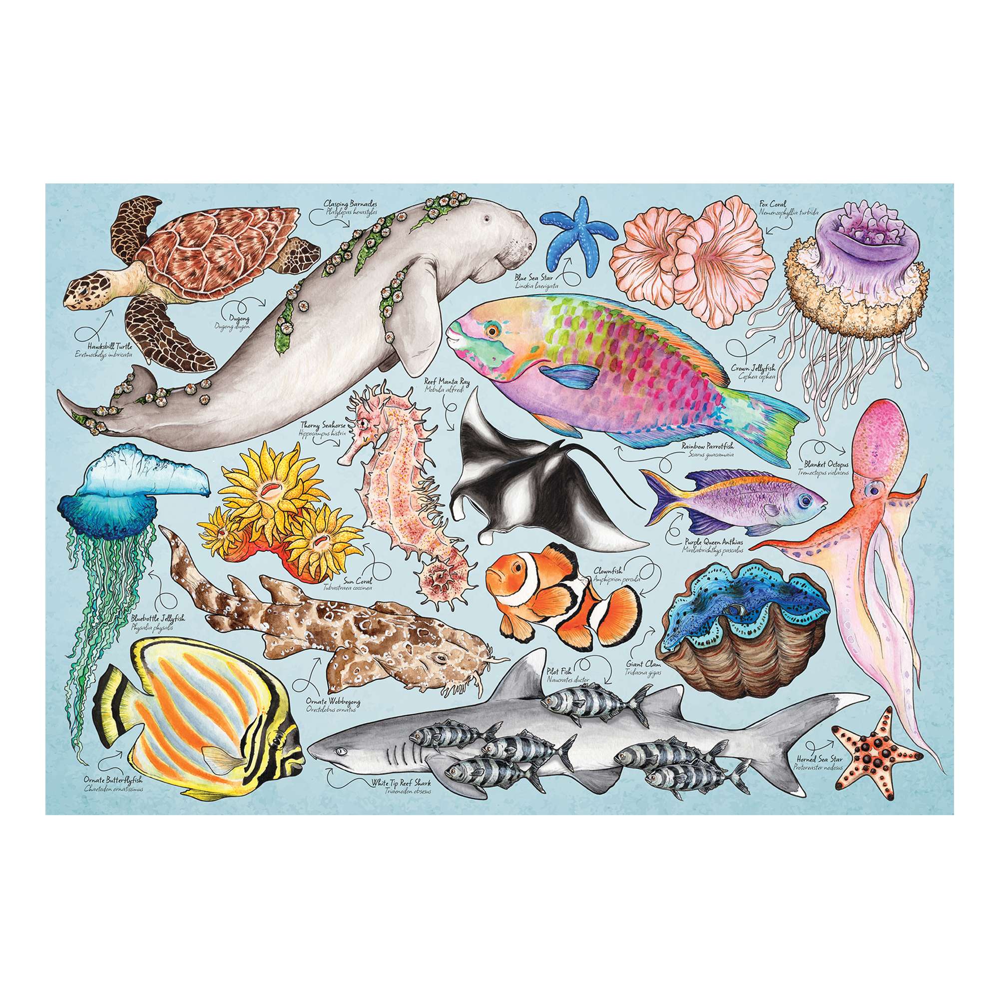 house-of-puzzles-great-barrier-reef-mini-puzzle-150-pi-ces-tube image 2