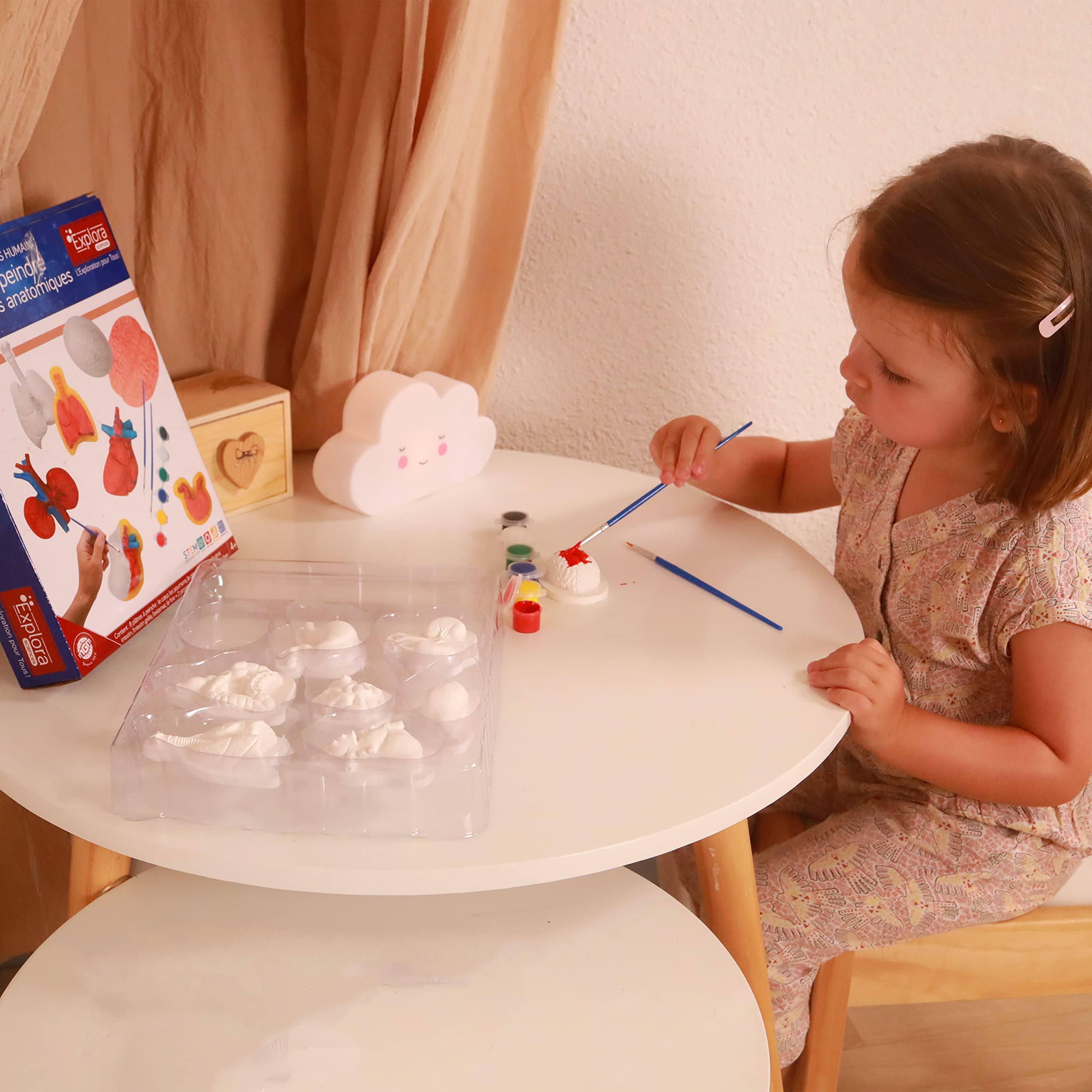 explora-organes-en-pl-tre-peindre-kit-8-pi-ces-anatomie-4-ans image 4