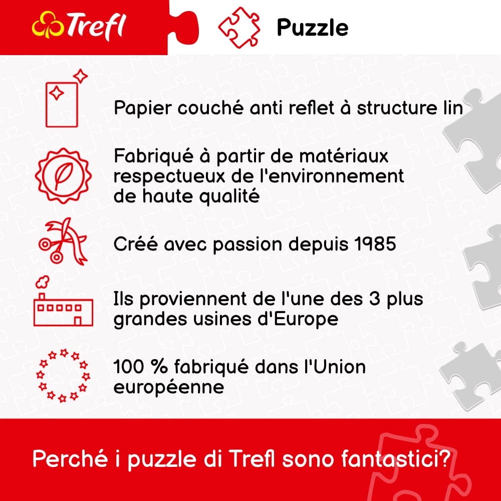 trefl-premium-plus-carte-de-la-terre-1630-puzzle-2000-pi-ces image 6