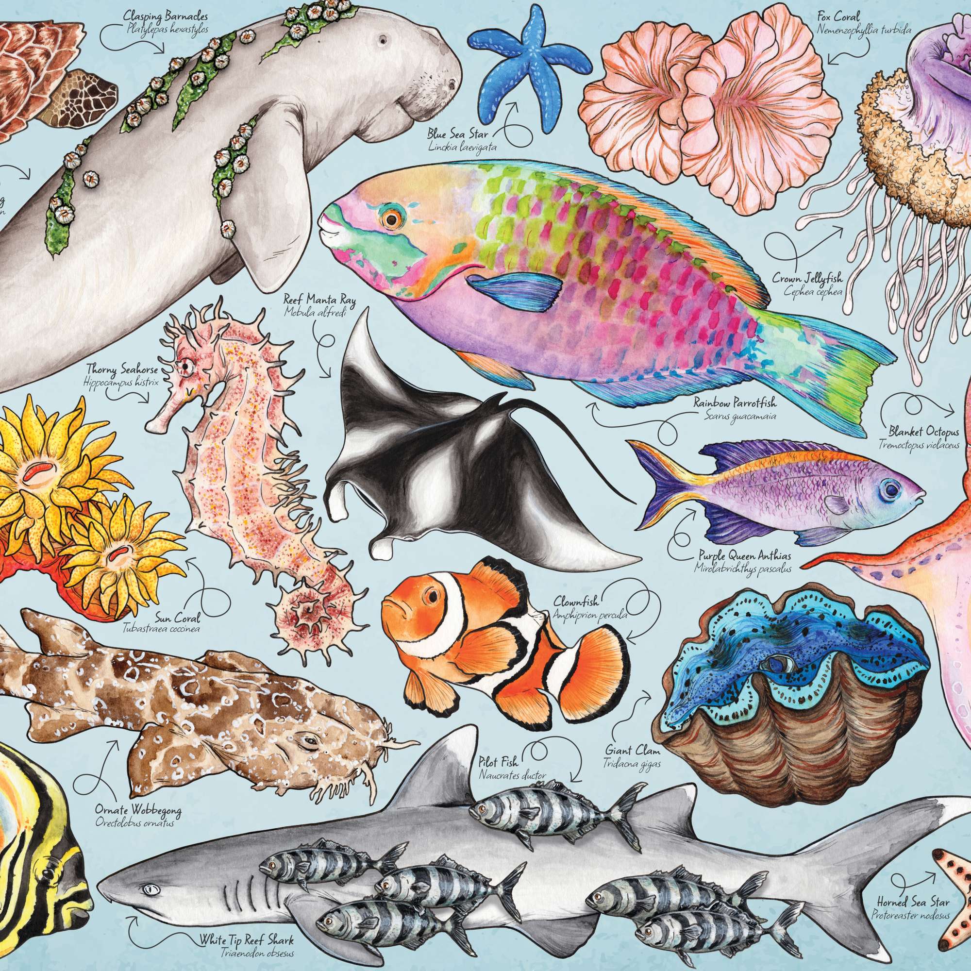 house-of-puzzles-great-barrier-reef-mini-puzzle-150-pi-ces-tube image 3