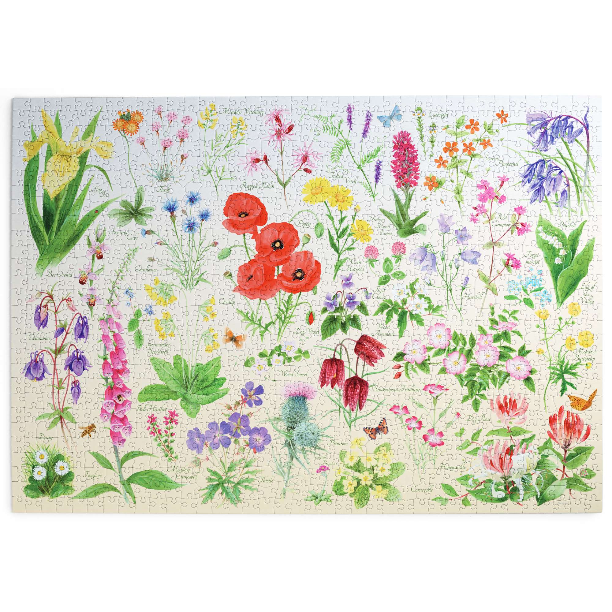 house-of-puzzles-wildflowers-puzzle-1000-pi-ces-fleurs image 2