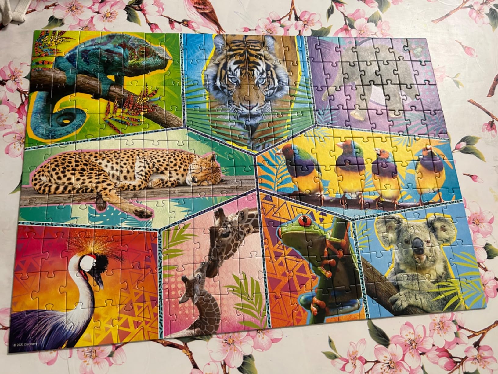 Animaux aimés