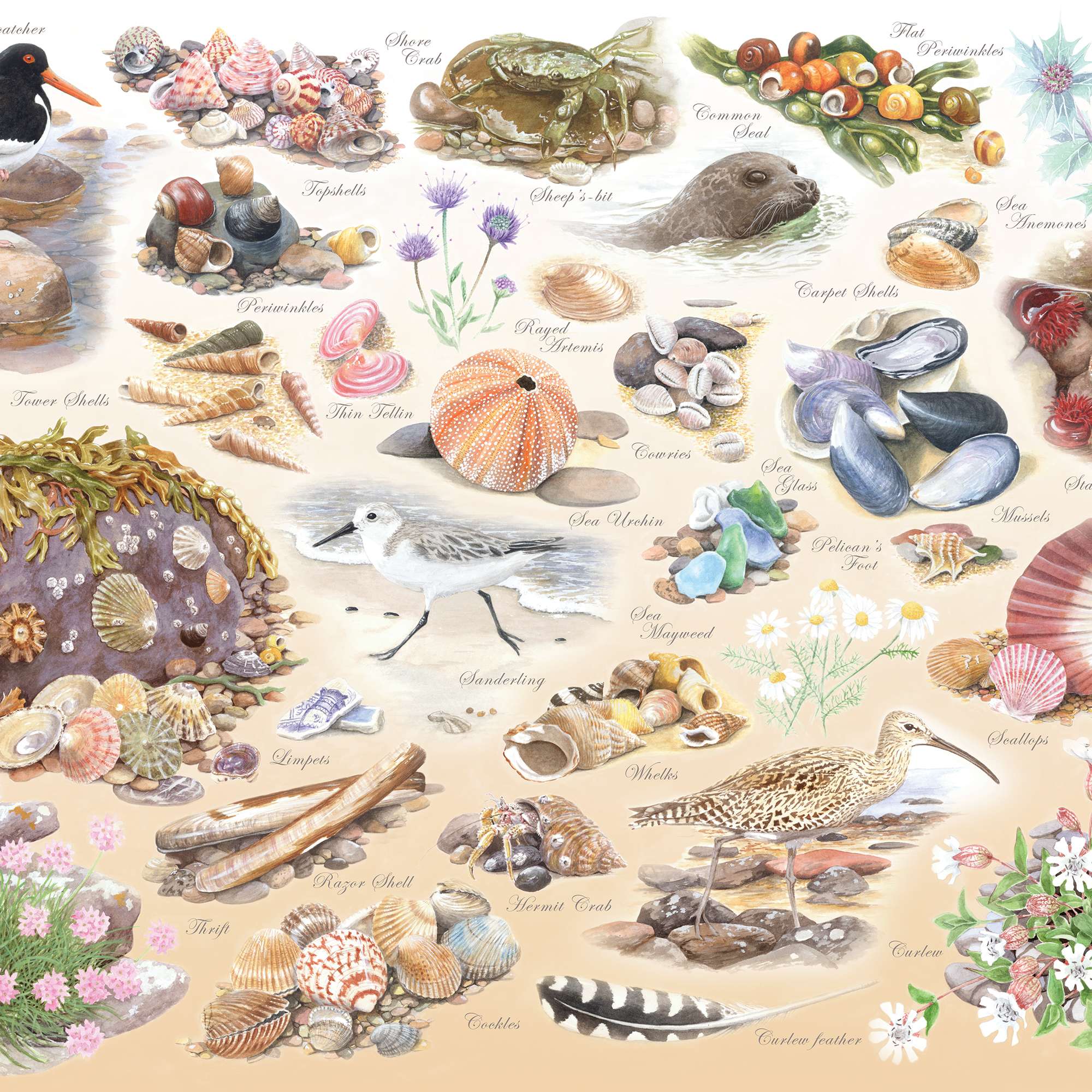 house-of-puzzles-sea-shore-puzzle-big-500-pi-ces-bord-de-mer image 3