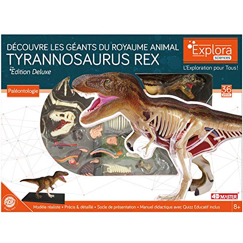 explora-kit-de-d-couverte-t-rex-maquette-36-pi-ces-tyrannosaure image 8
