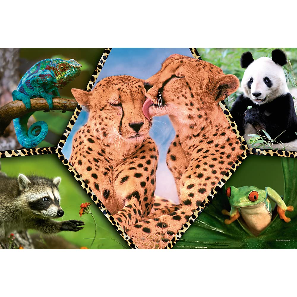 trefl-red-beaut-de-la-nature-puzzle-100-pi-ces-d-s-5-ans image 2
