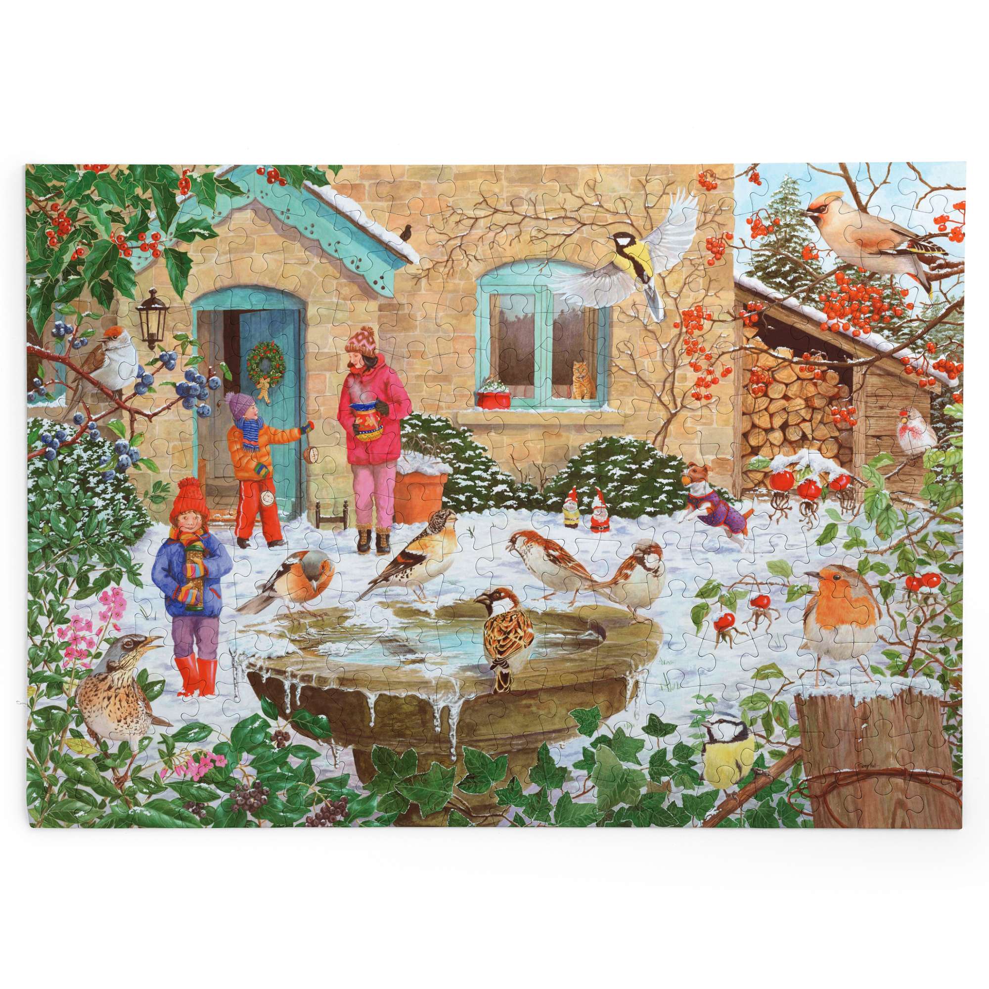 house-of-puzzles-no-ice-please-puzzle-big-250-pi-ces-no-l image 2