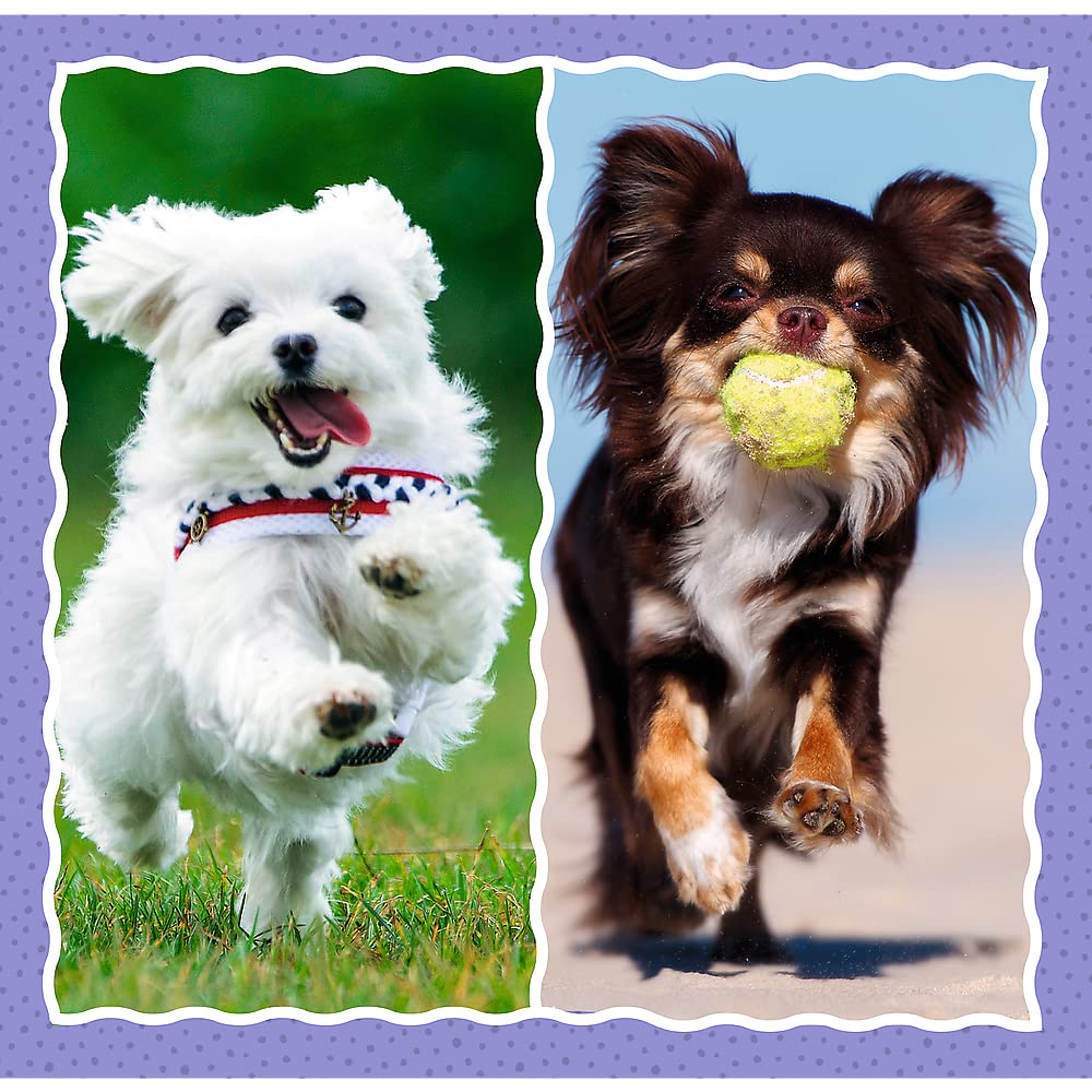 trefl-red-adorables-chiens-puzzle-3-en-1-20-50-pi-ces image 6