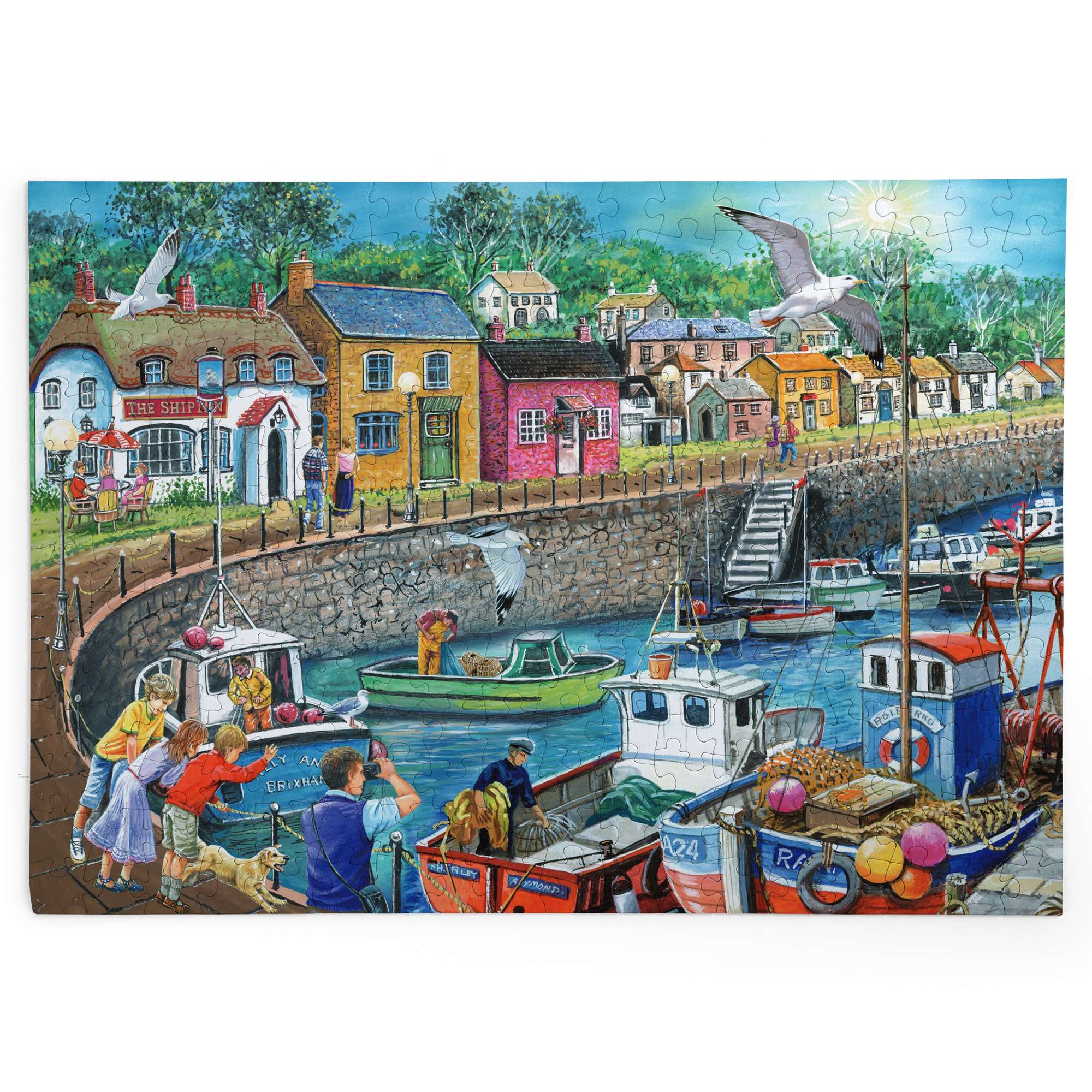 house-of-puzzles-seagull-view-big-250-puzzle-250-pi-ces-mer image 2