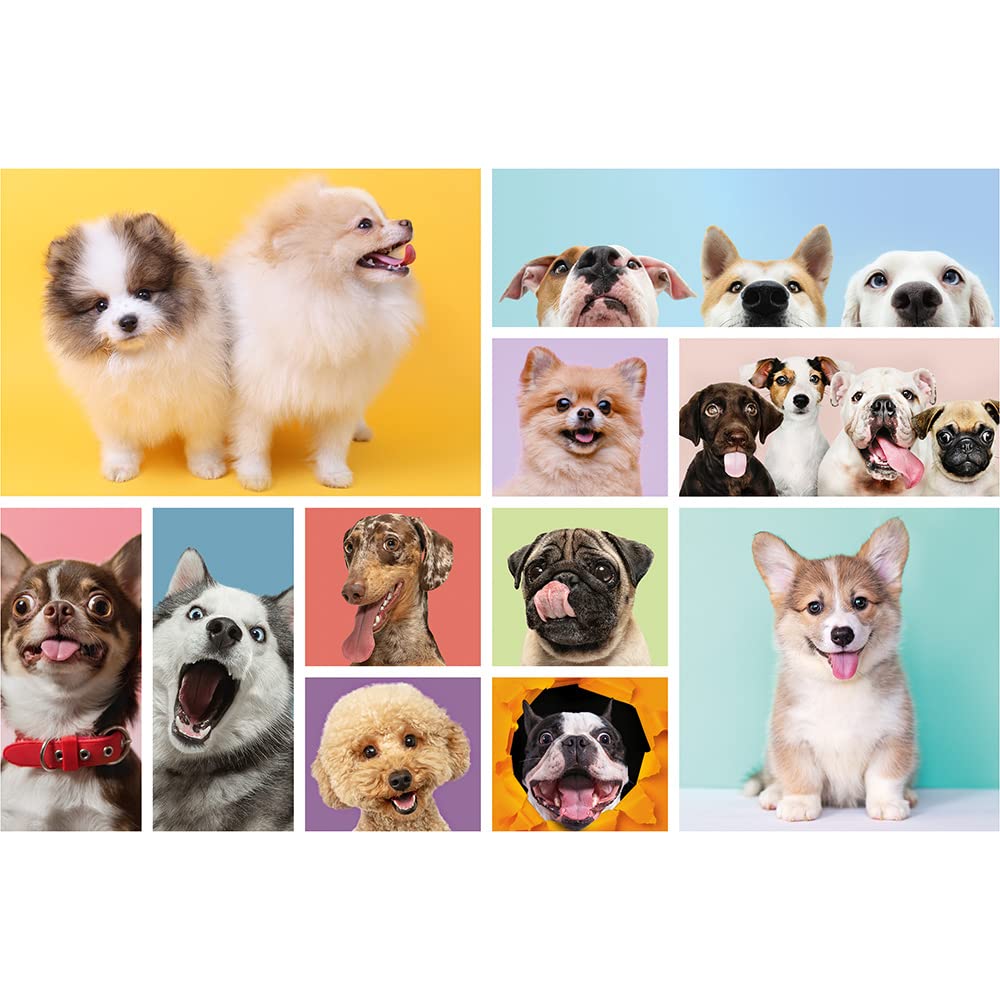 trefl-red-amiti-des-chiens-puzzle-160-pi-ces-collage-chiens image 2
