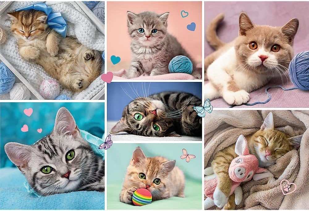 trefl-red-100-pi-ces-puzzle-enfant-monde-des-chats-5-ans image 2