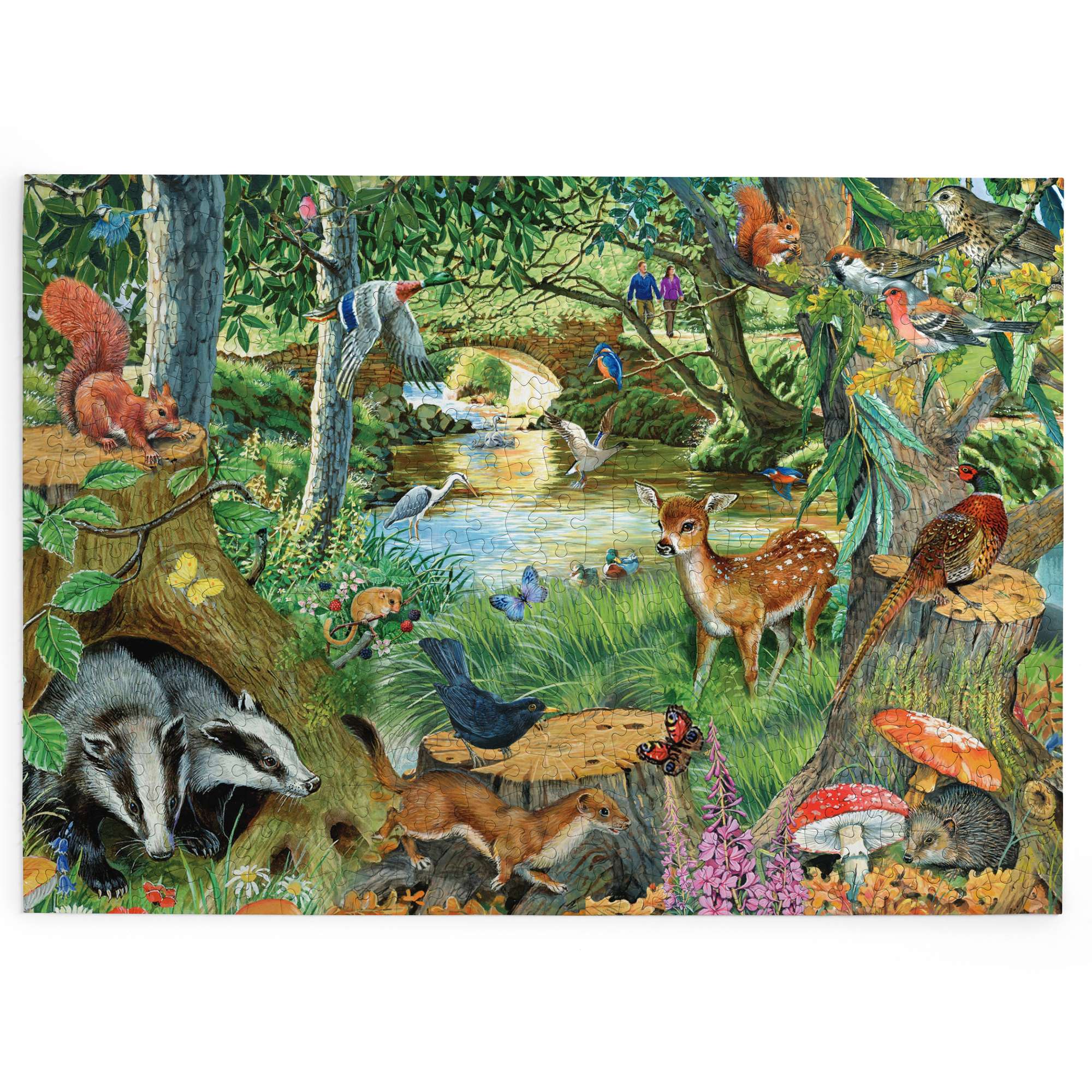 house-of-puzzles-riverside-glade-puzzle-500-pi-ces-xl-famille image 2
