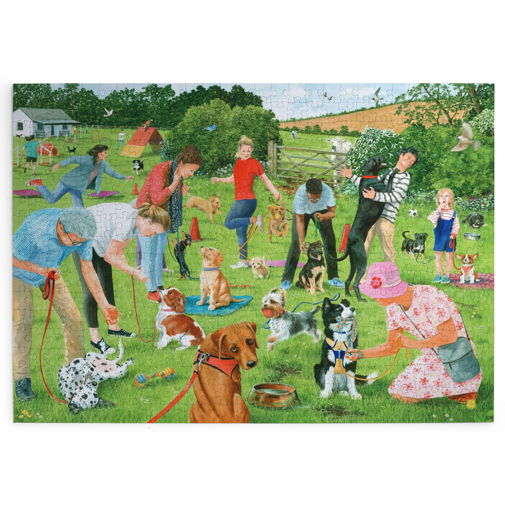house-of-puzzles-puppy-school-puzzle-500-pi-ces-chiots image 2