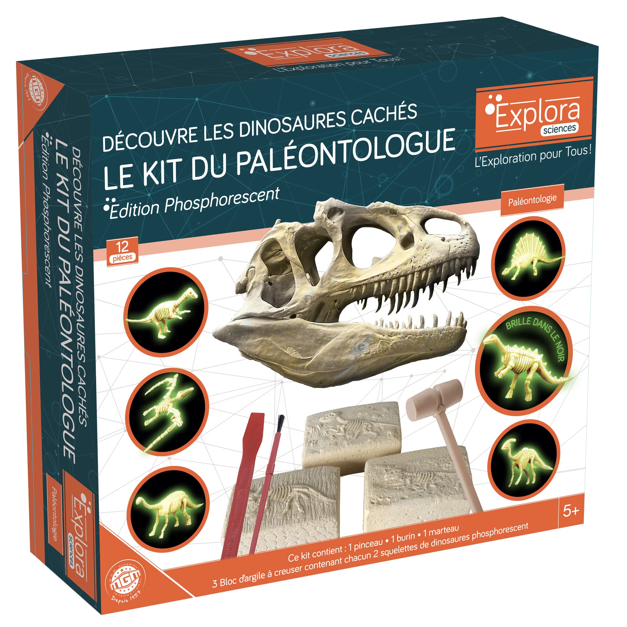 explora-kit-de-d-couverte-pl-tre-creuser-tric-ratops-squelette image 4