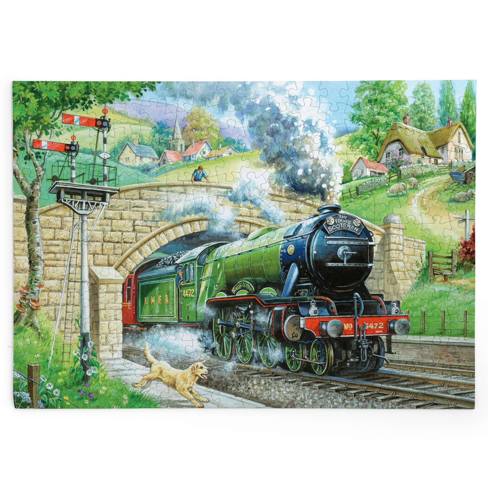 house-of-puzzles-train-spotting-big-250-puzzle-train-250-pi-ces image 2