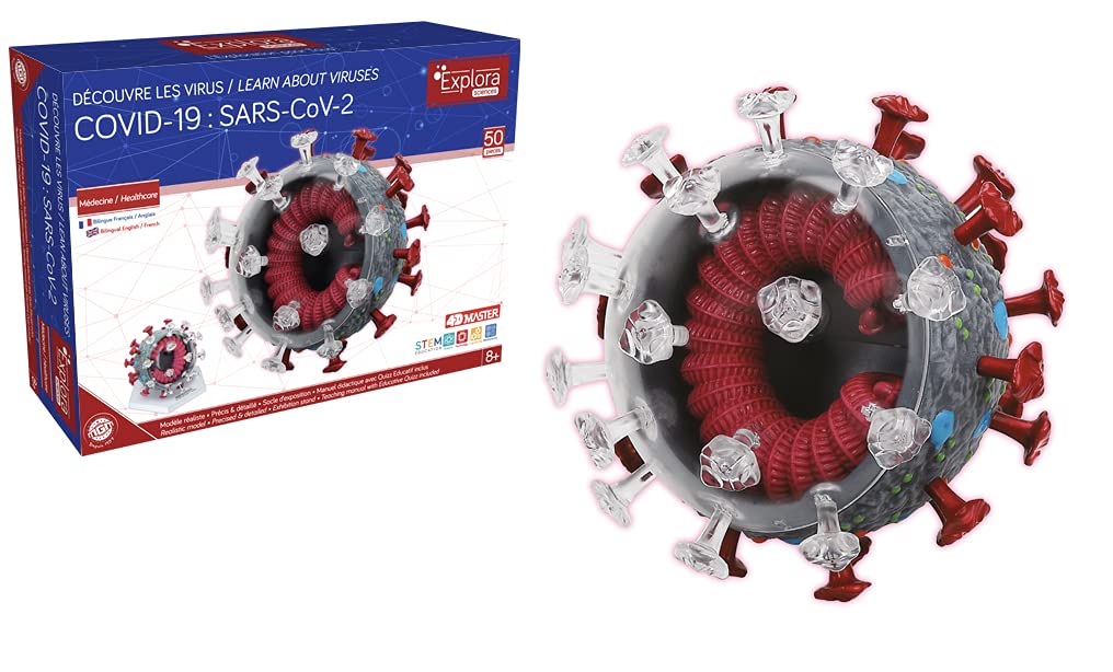 explora-exp-rience-anatomie-c-ur-mod-le-31-pi-ces-8-ans image 6