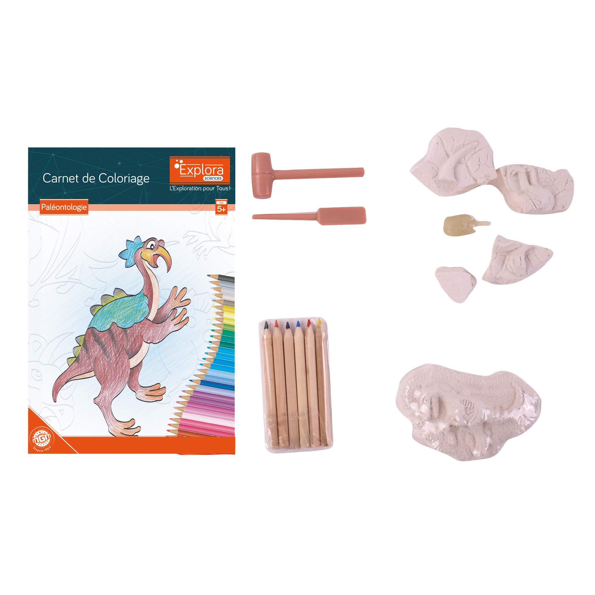 explora-kit-de-d-couverte-pl-tre-creuser-tric-ratops-squelette image 5