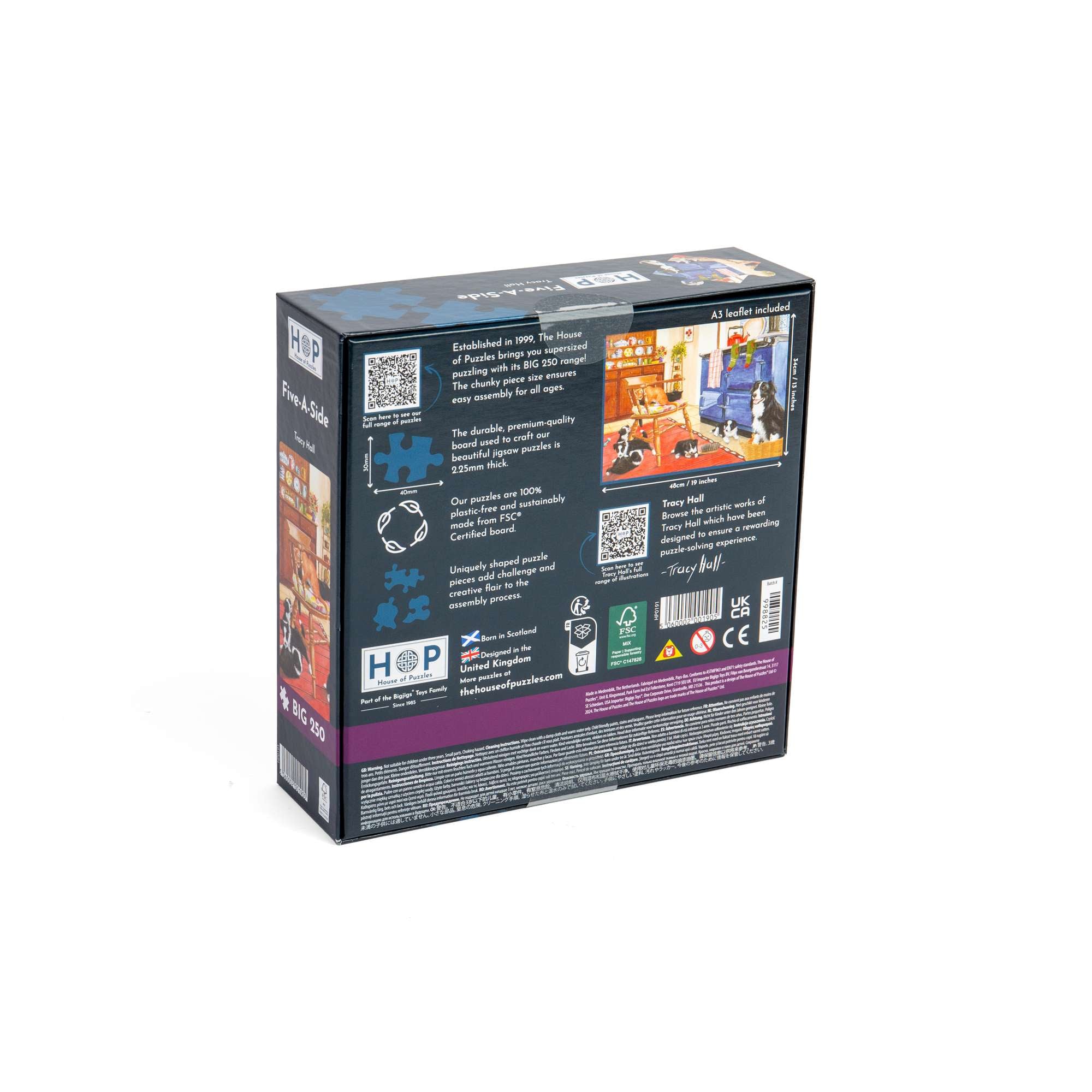 house-of-puzzles-five-a-side-puzzle-big-250-pi-ces-foot image 3