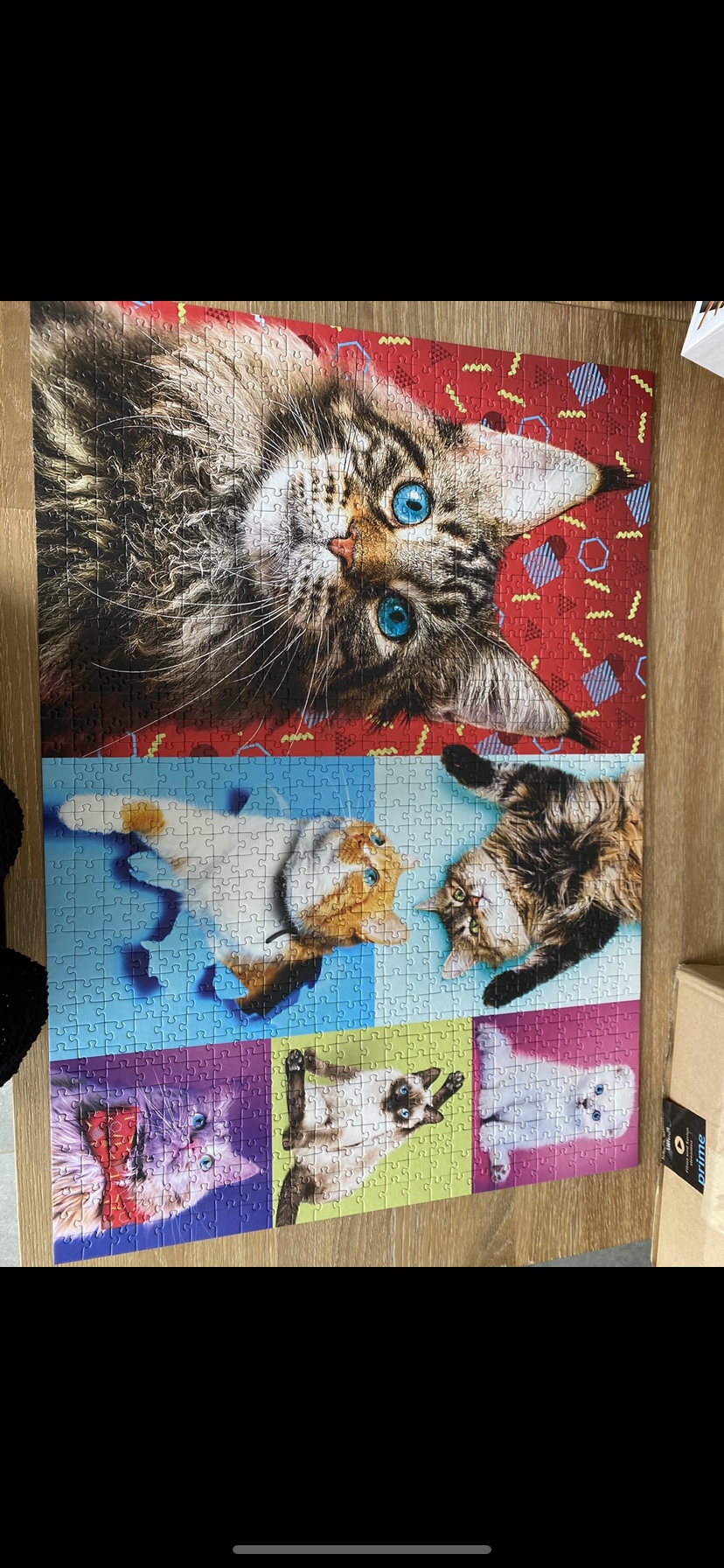 Chats nets