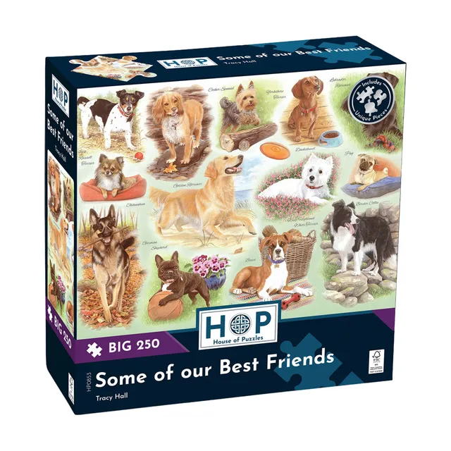 house-of-puzzles-best-friends-puzzle-big-250-animaux image 1