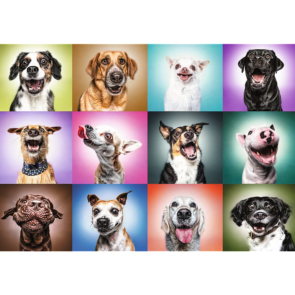trefl-prime-chiens-puzzle-1000-pi-ces-t-tes-de-chiens image 2