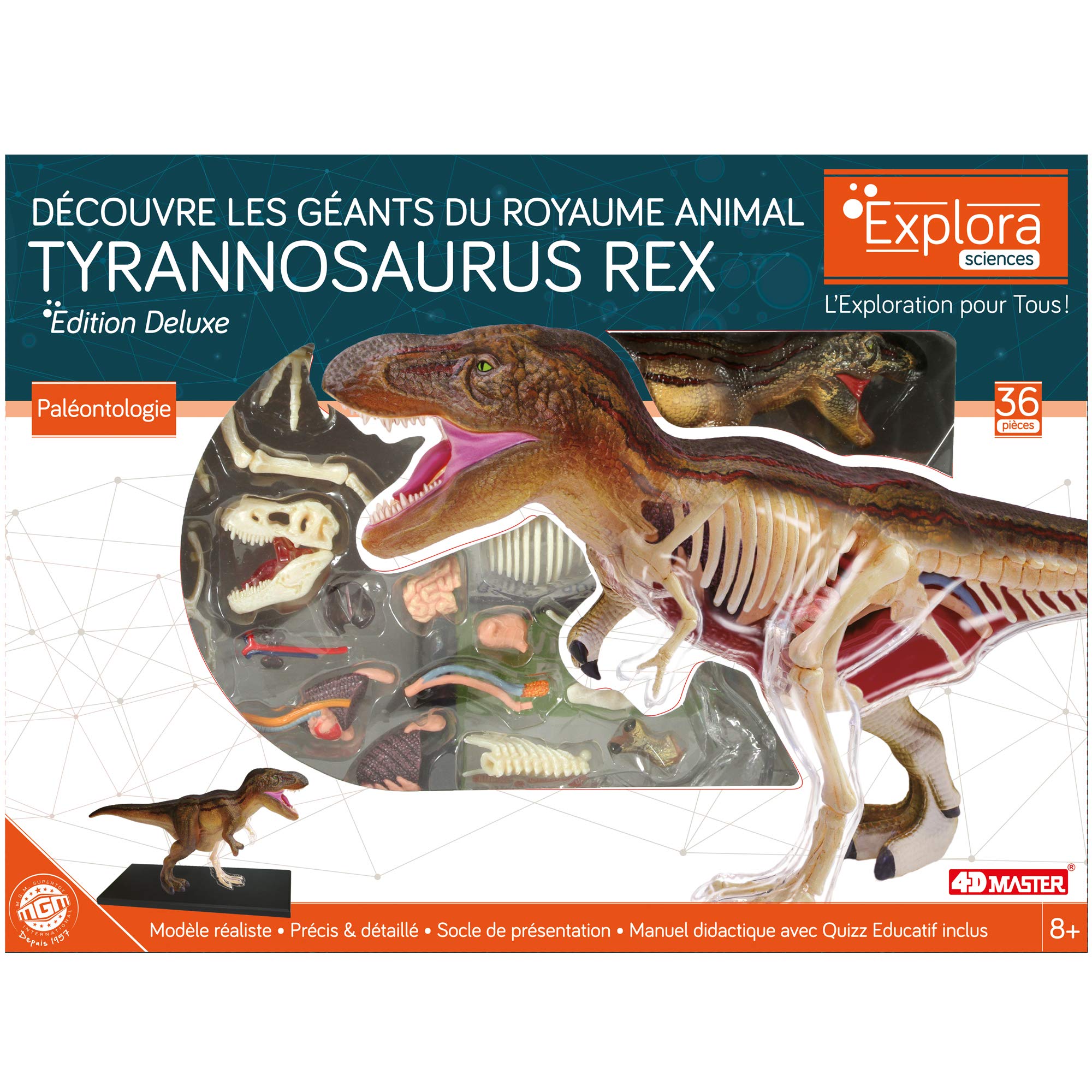 explora-kit-de-d-couverte-t-rex-maquette-36-pi-ces-tyrannosaure image 2