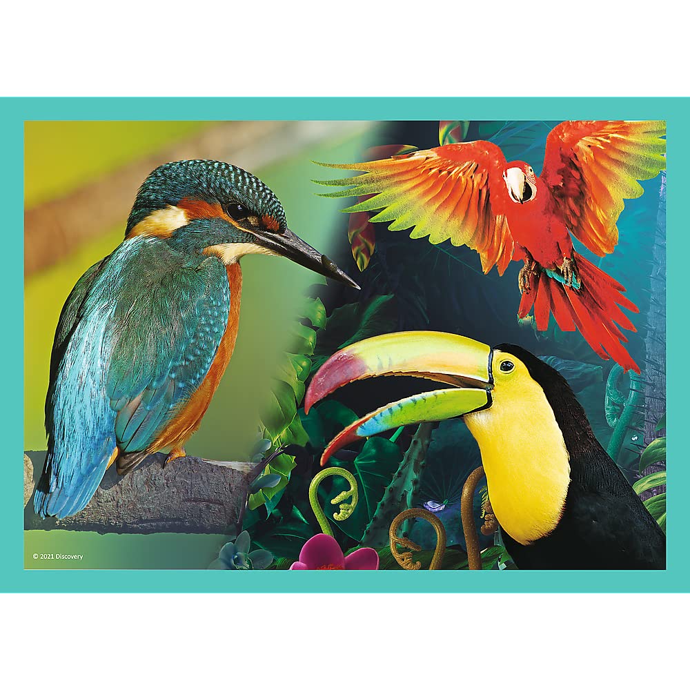 trefl-red-monde-myst-rieux-puzzle-enfant-4-en-1-animaux-35-70-pcs image 6