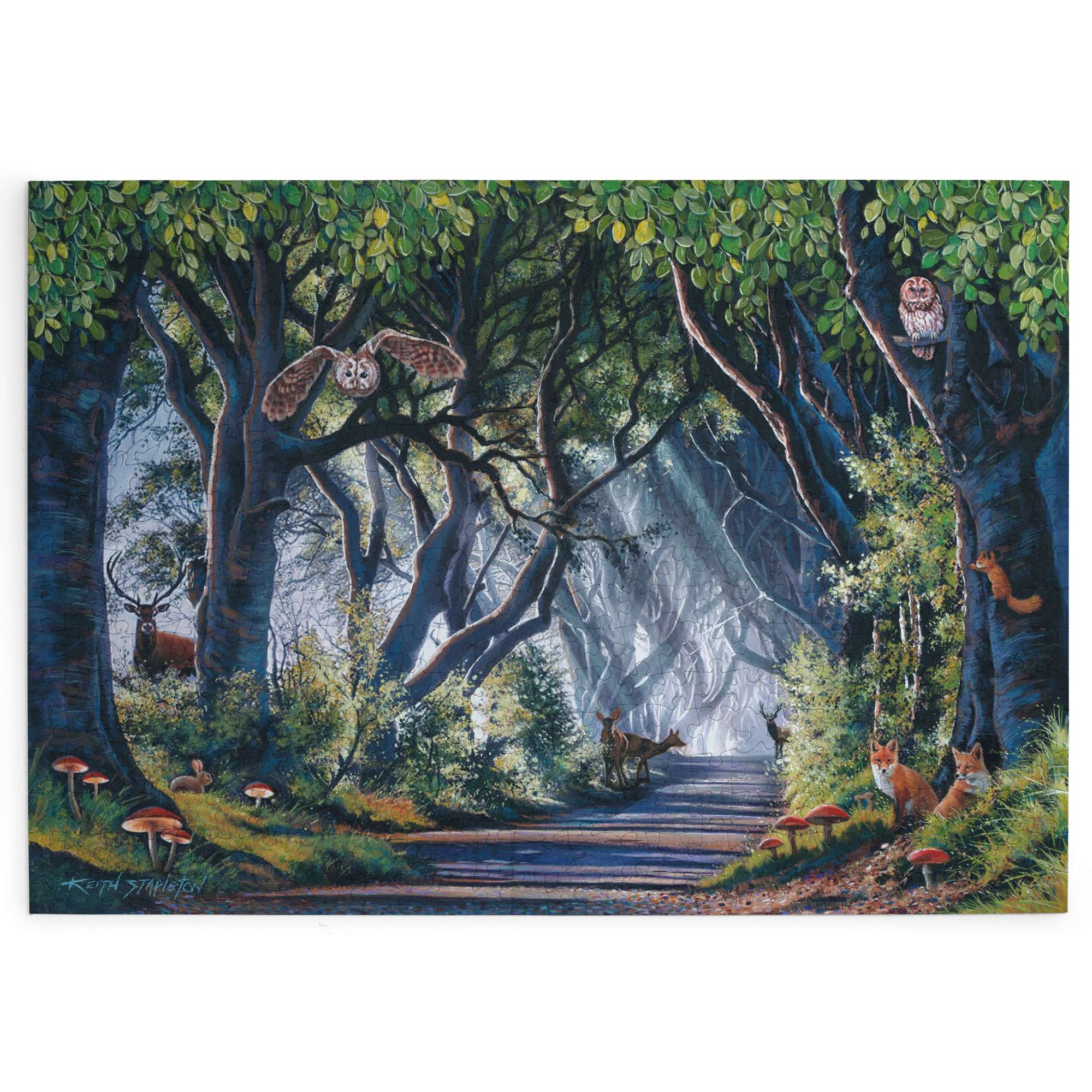 house-of-puzzles-500-puzzle-500-pi-ces-dark-hedges-nuit image 2