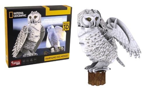 explora-maquettes-3d-540214-chouette-des-neiges-puzzle-3d-62-pi-ces image 8