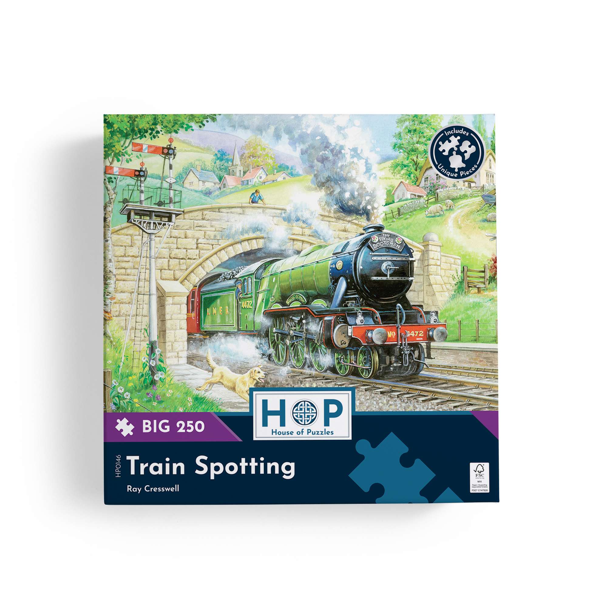 house-of-puzzles-train-spotting-big-250-puzzle-train-250-pi-ces image 4