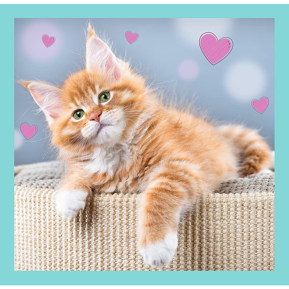 trefl-puzzle-3en1-20-50-pi-ces-animaux-doux-chats image 7