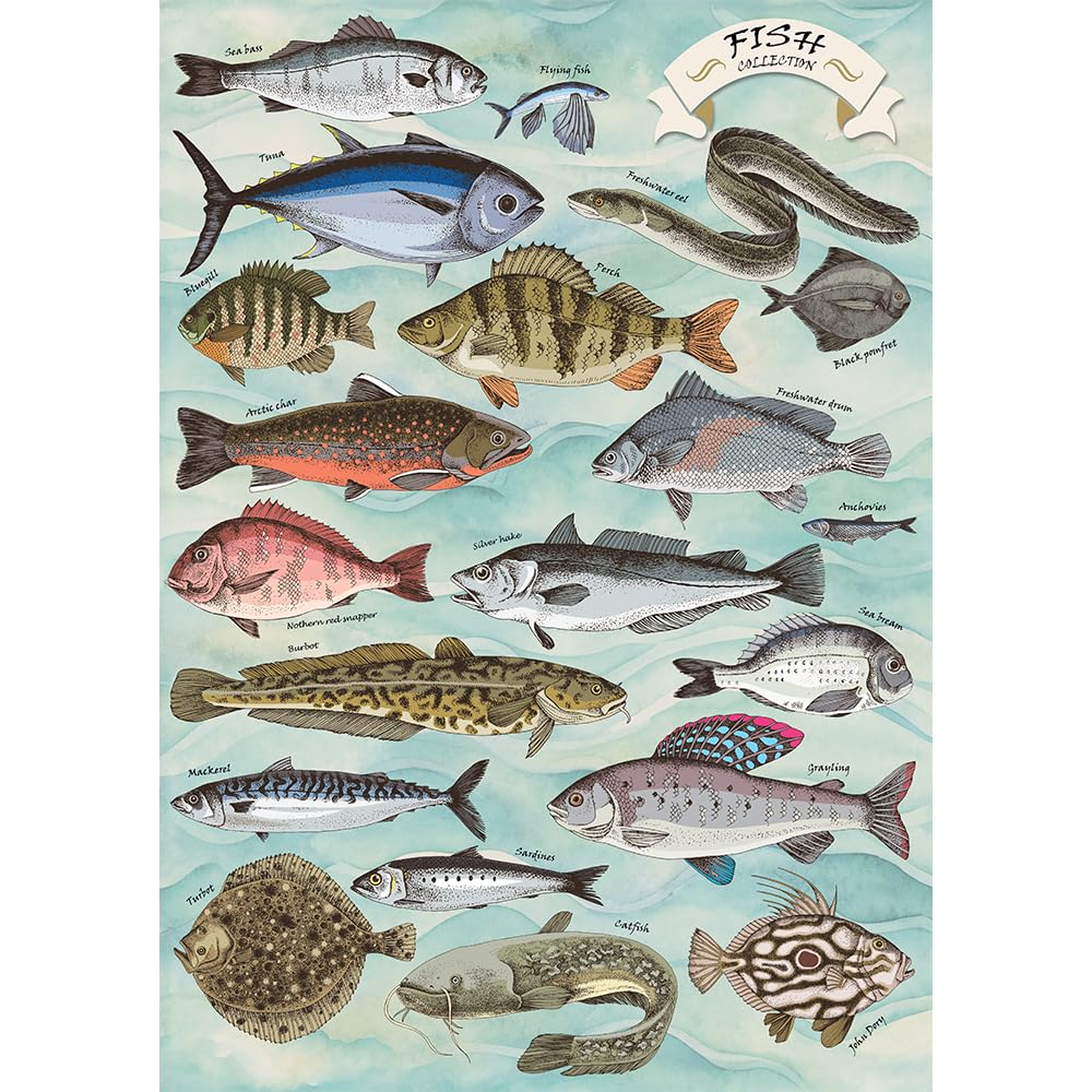 trefl-premium-plus-finders-keepers-puzzle-500-pi-ces-poissons image 2