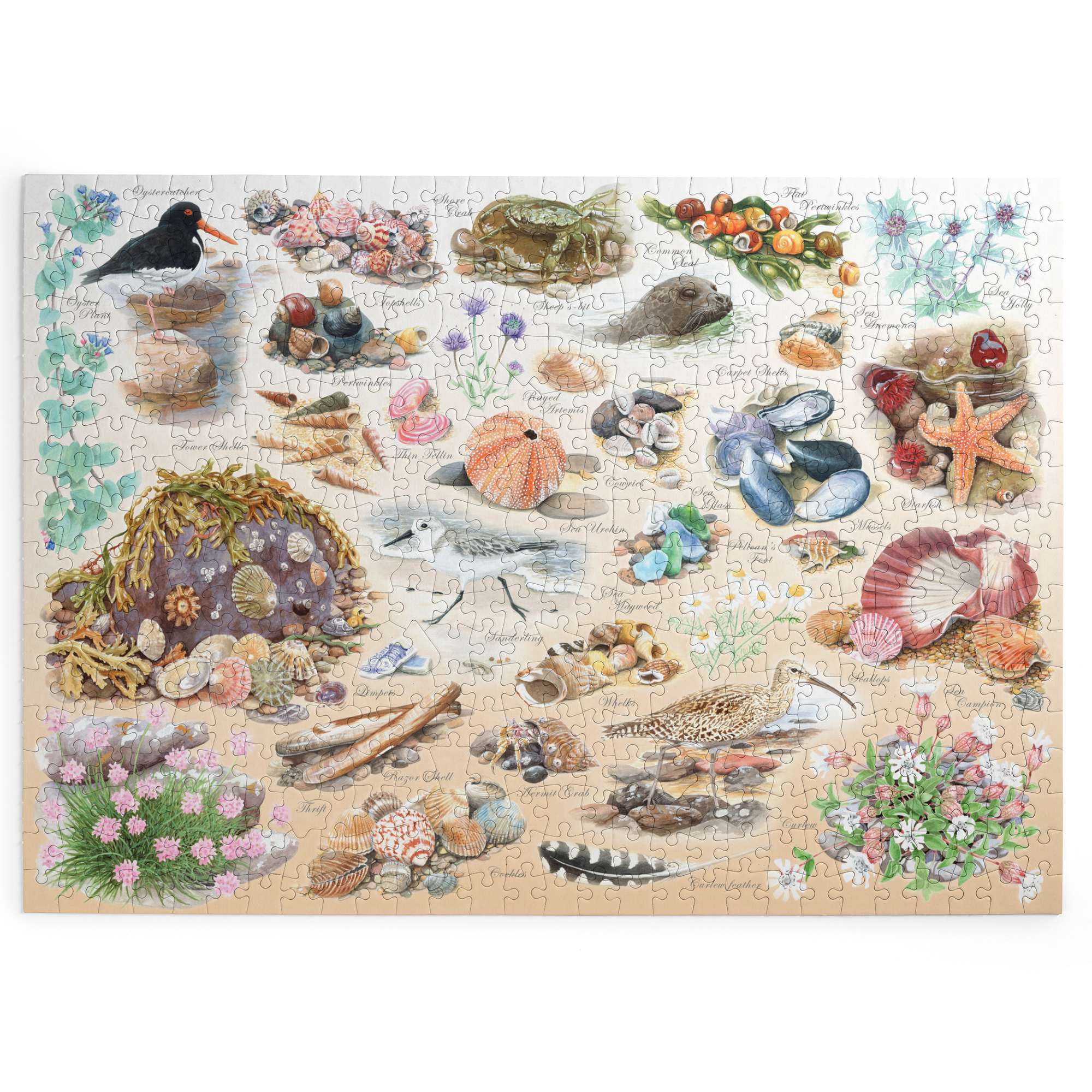 house-of-puzzles-sea-shore-puzzle-big-500-pi-ces-bord-de-mer image 2
