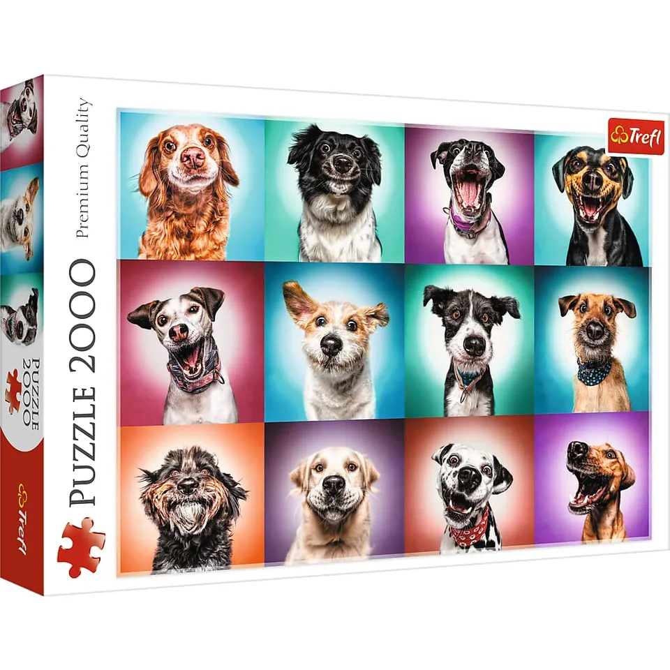 premium-plus-portraits-chiens-ii-puzzle-2000-pi-ces-adulte image 1