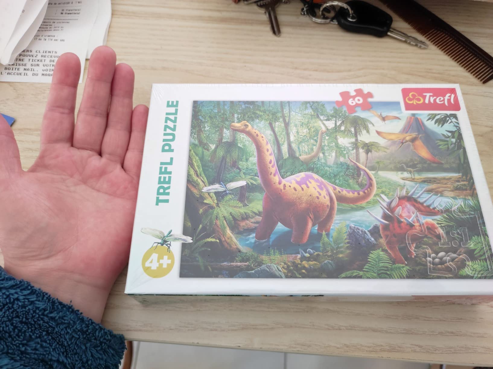 Dinosaures nets