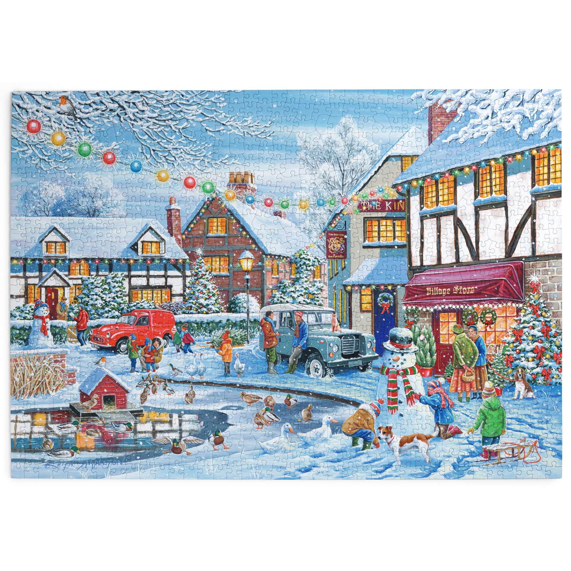 house-of-puzzles-no-20-on-thin-ice-puzzle-1000-diff-rences image 2