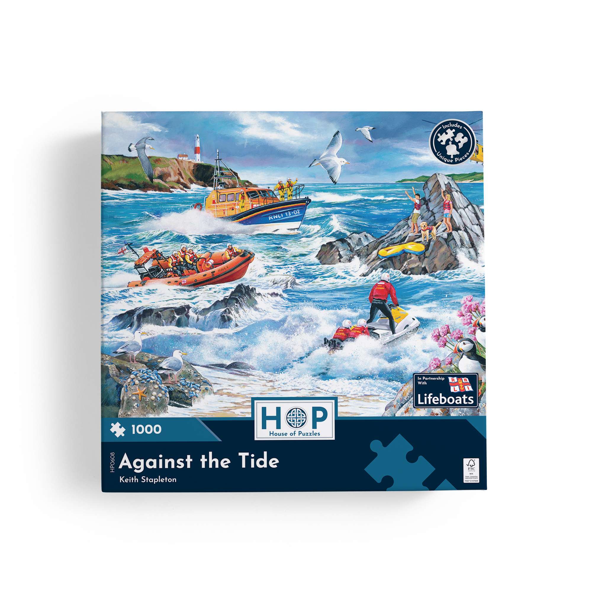 house-of-puzzles-against-the-tide-puzzle-1000-pi-ces-bord-de-mer image 4