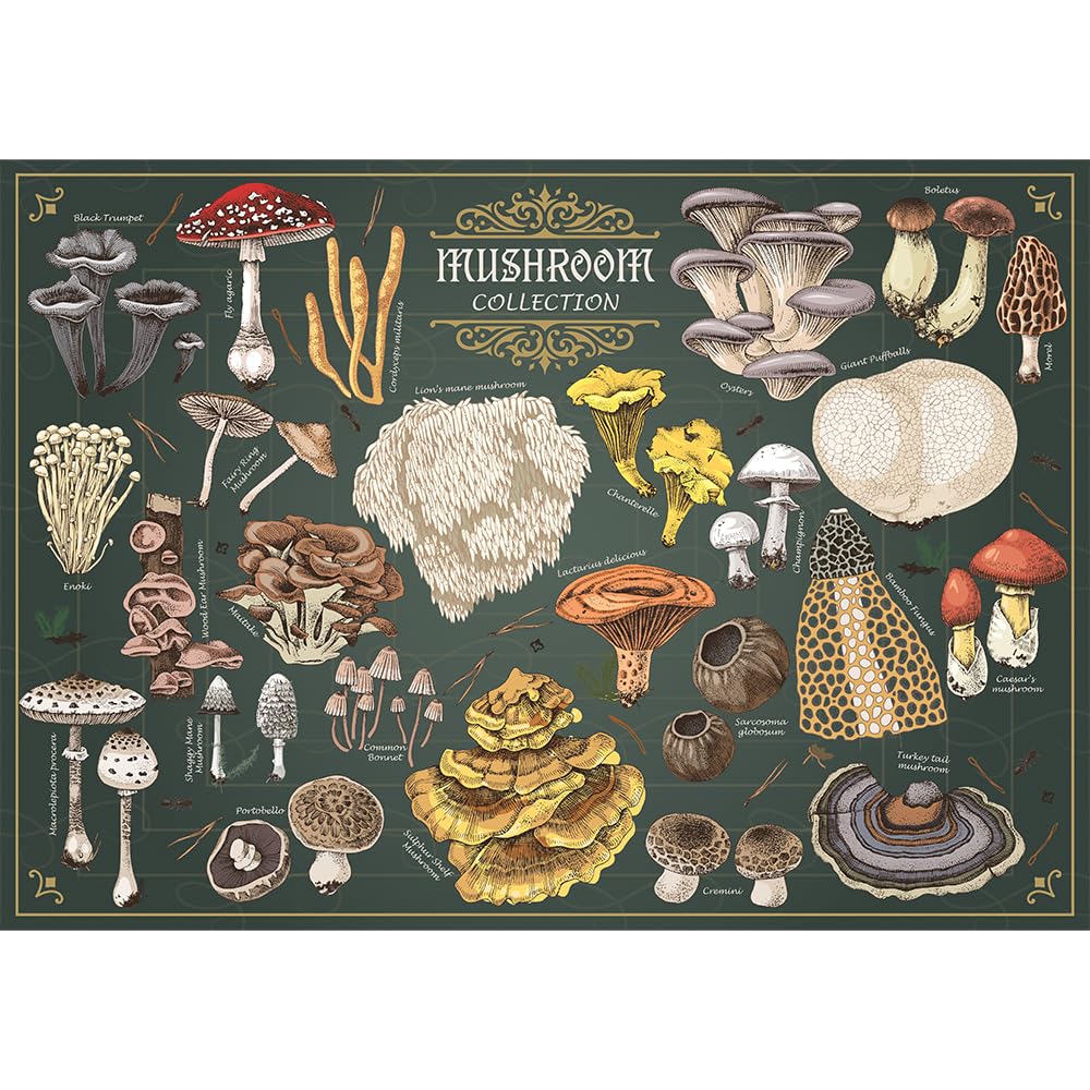 trefl-premium-plus-champignons-puzzle-500-pieces-finders-keepers image 2