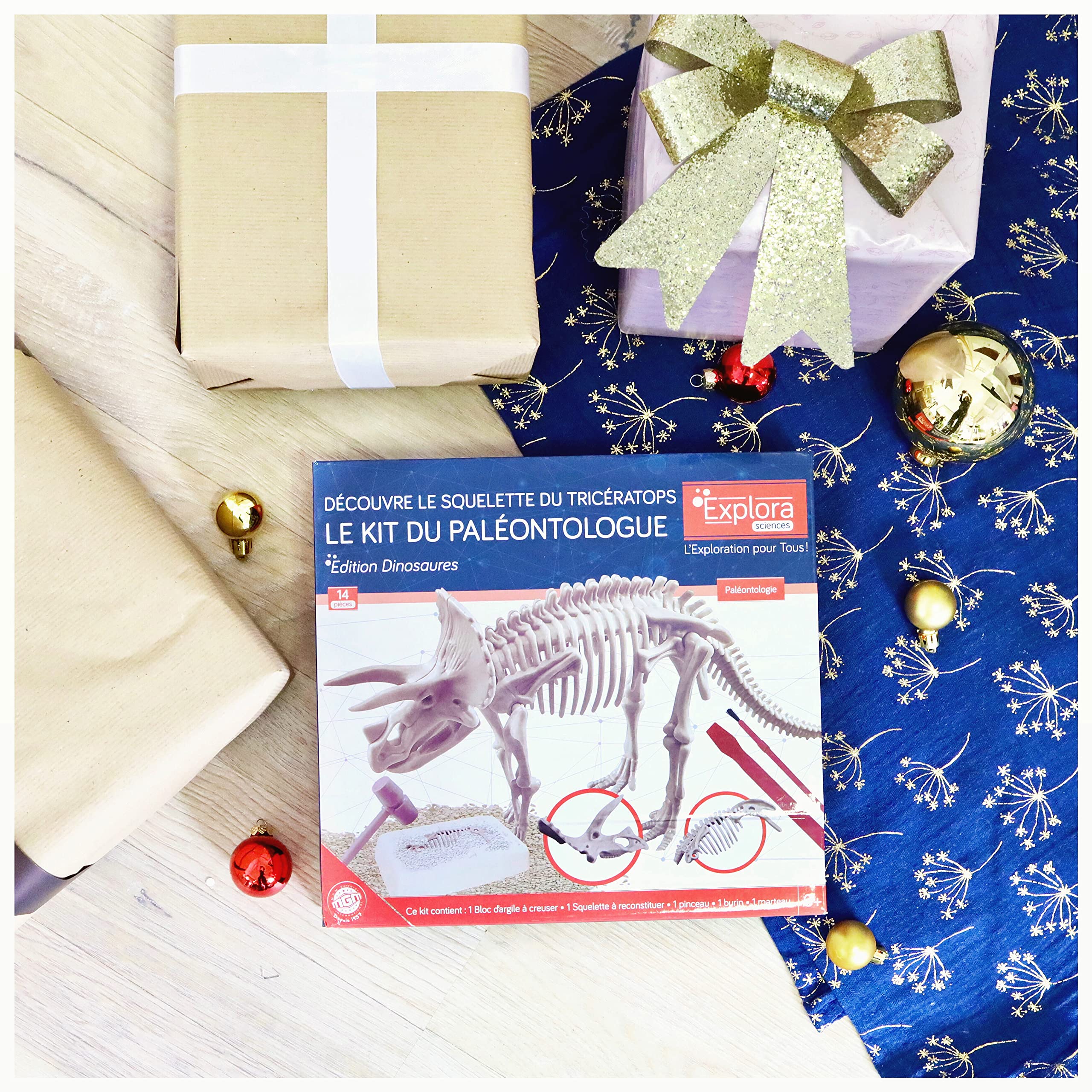 explora-kit-de-d-couverte-pl-tre-creuser-tric-ratops-squelette image 3