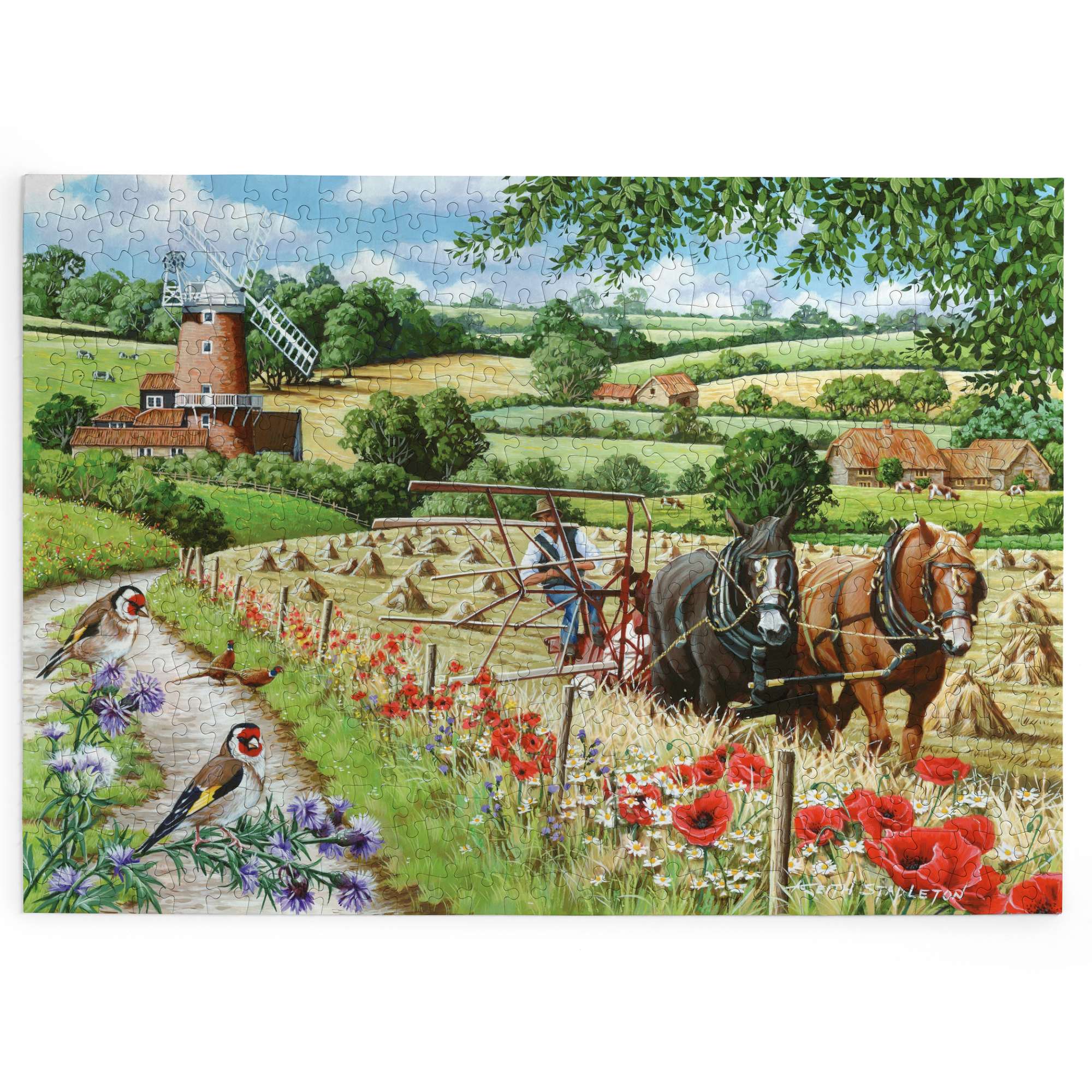 hop-big-500-windmill-lane-puzzle-500-pi-ces-ferme-stapleton image 2