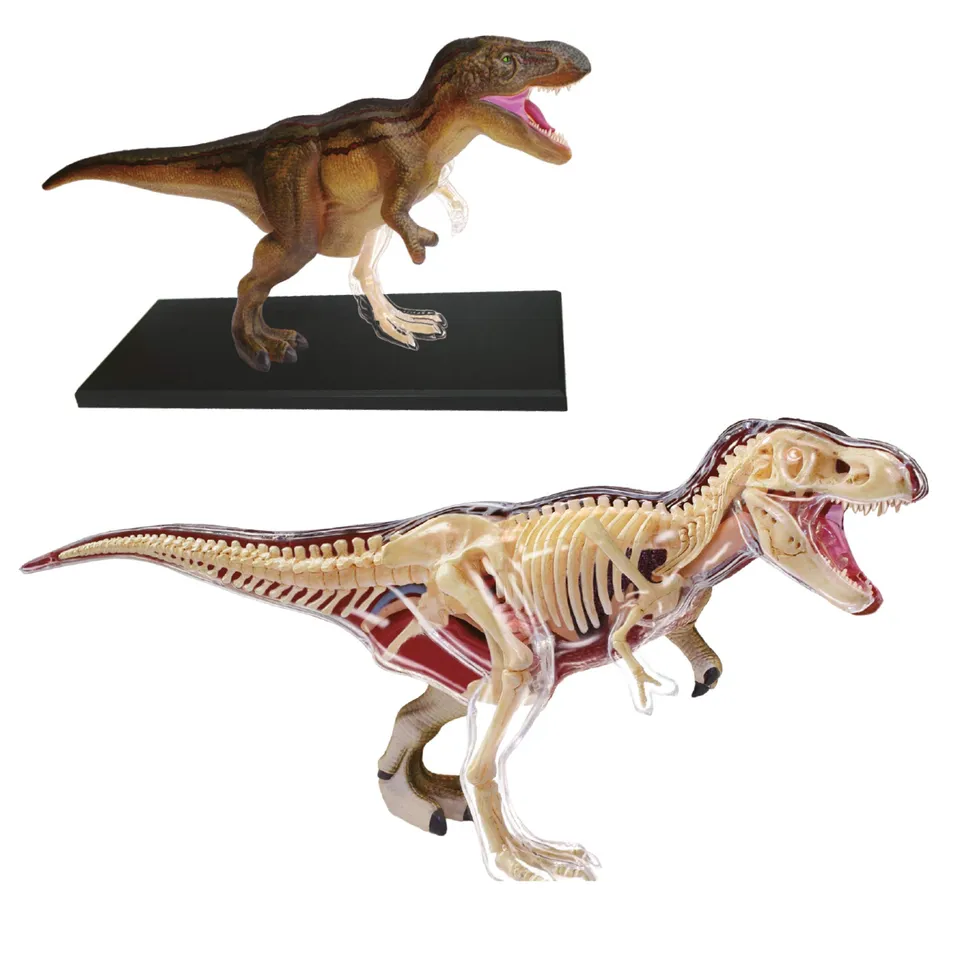explora-kit-de-d-couverte-t-rex-maquette-36-pi-ces-tyrannosaure image 1