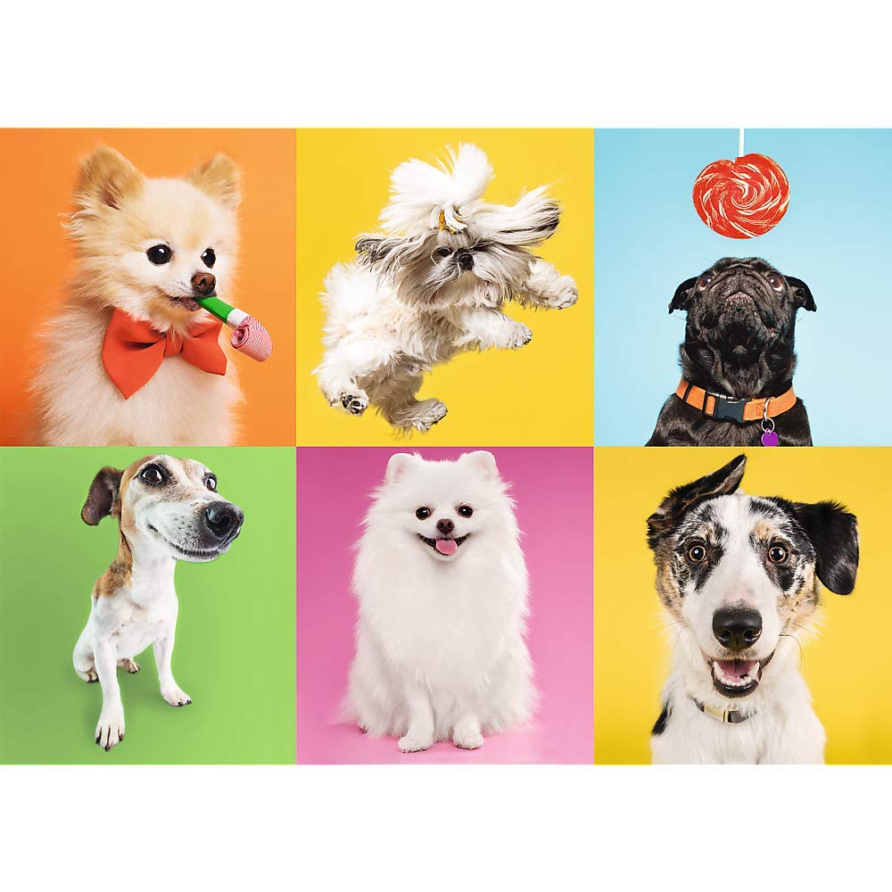 trefl-red-dogs-puzzle-500-pi-ces-motif-chiens image 2