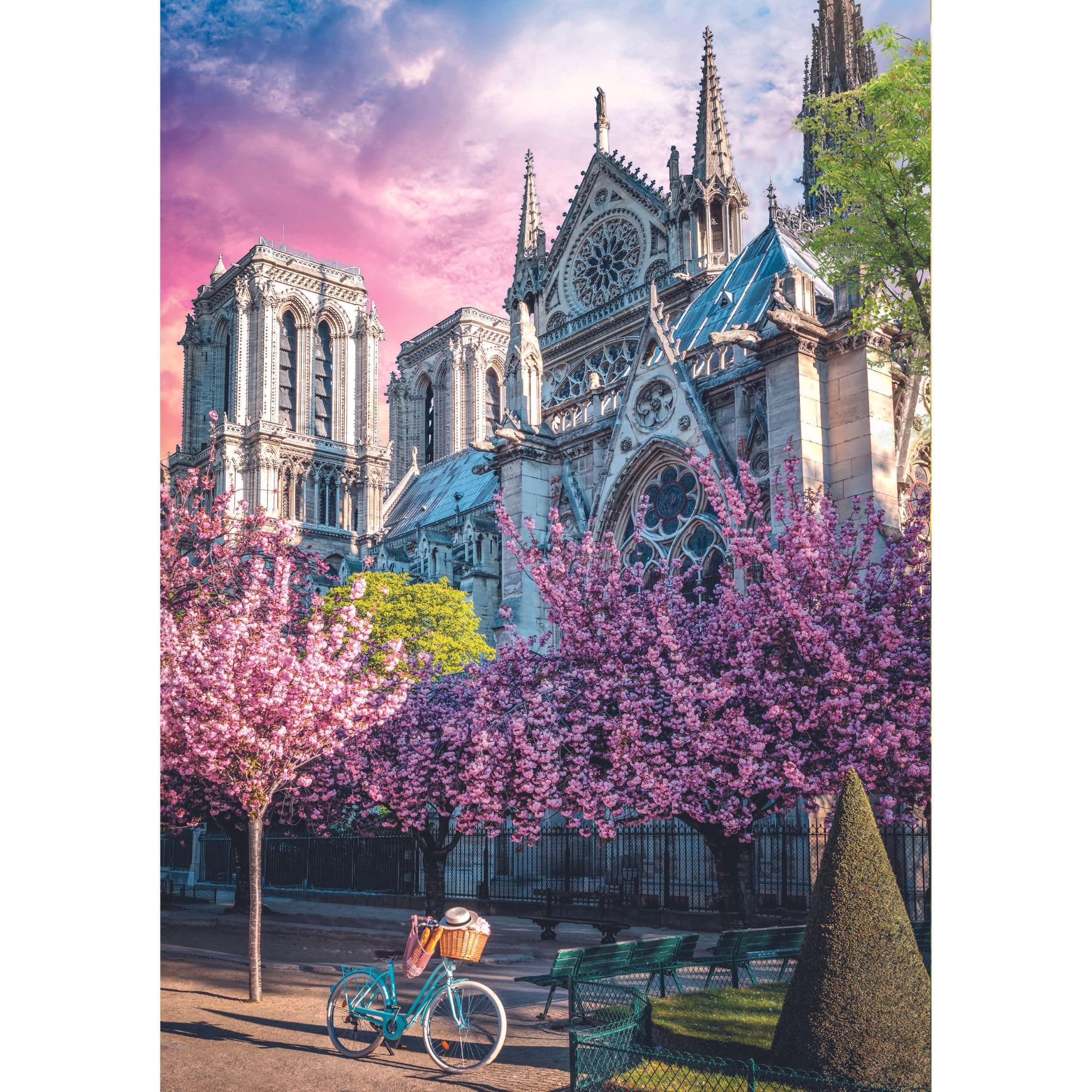 trefl-premium-plus-photo-odyssey-puzzle-1000-pi-ces-notre-dame-paris image 2