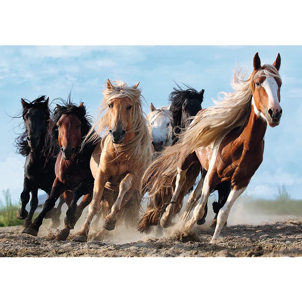 trefl-premium-plus-10446-puzzle-1000-pi-ces-chevaux-au-galop image 2