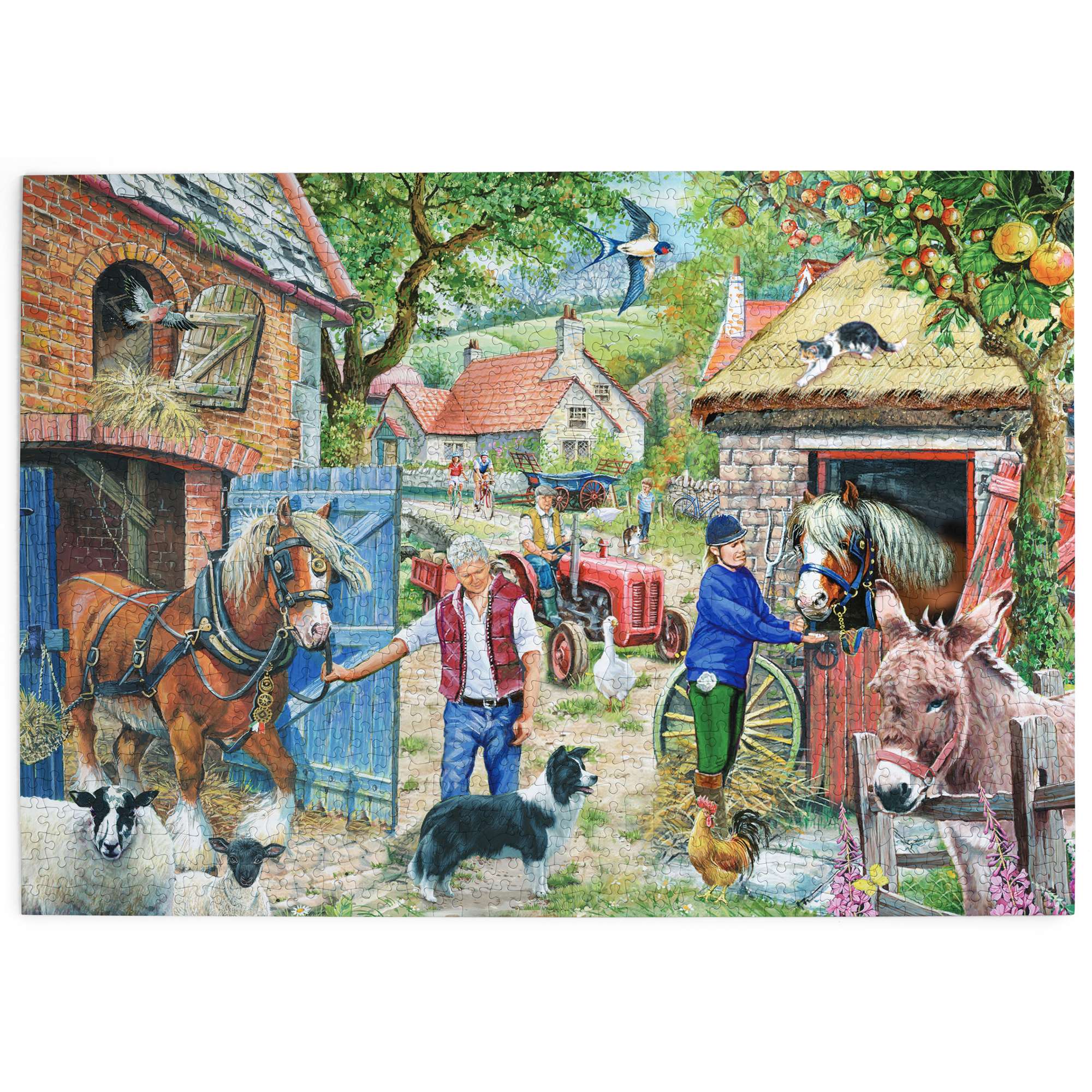 house-of-puzzles-appletree-lane-puzzle-1000-pi-ces-robert-barry image 2
