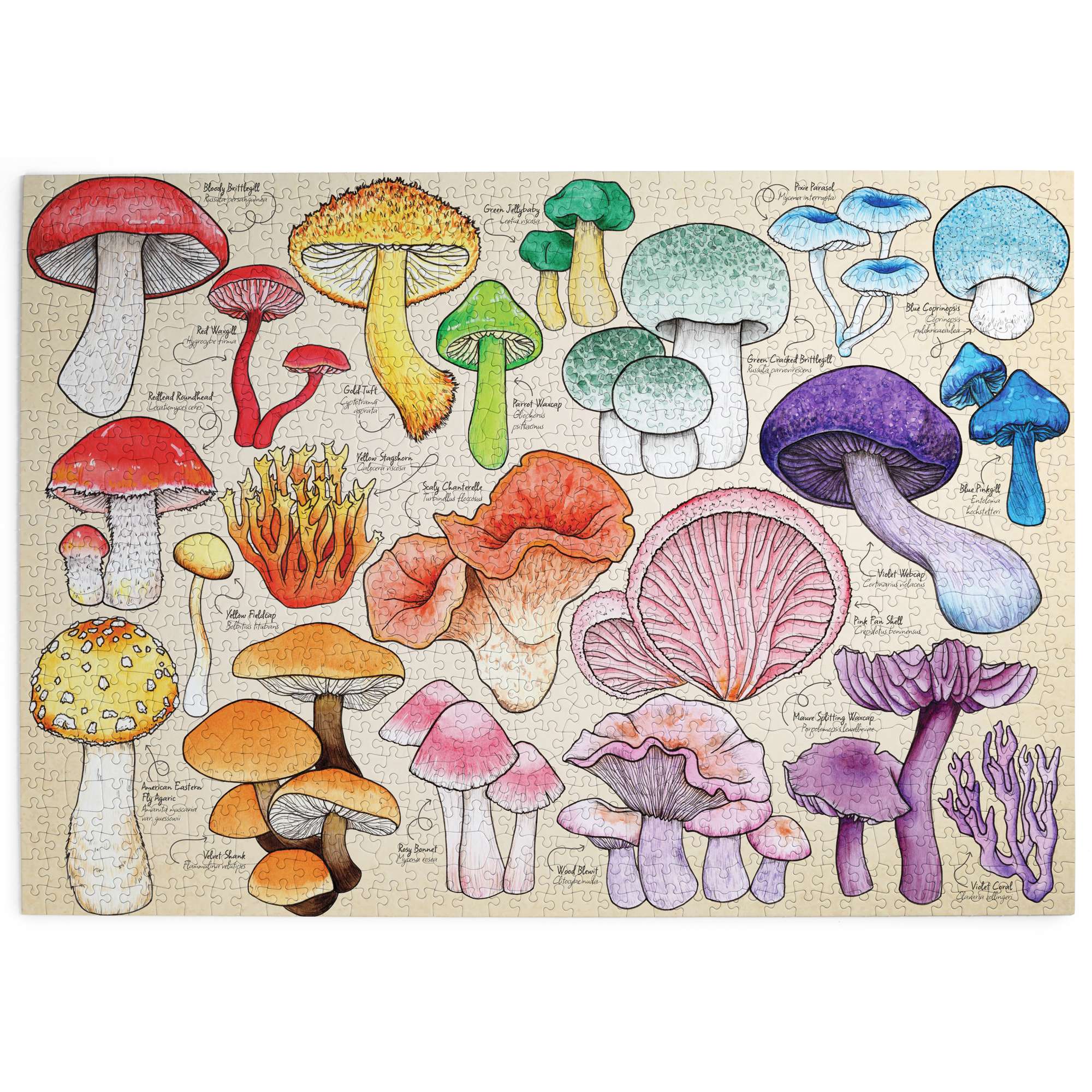 house-of-puzzles-mushroom-mania-puzzle-1000-pi-ces-champignons image 2