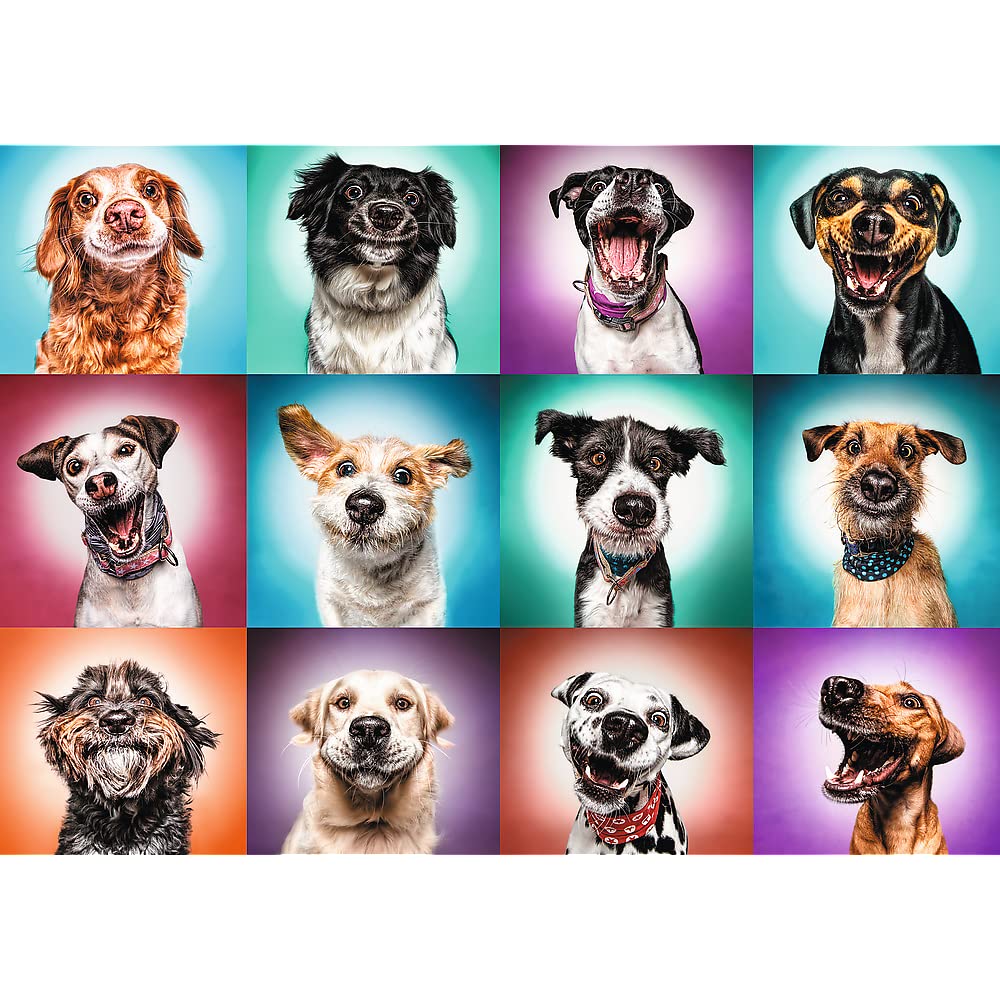 premium-plus-portraits-chiens-ii-puzzle-2000-pi-ces-adulte image 2