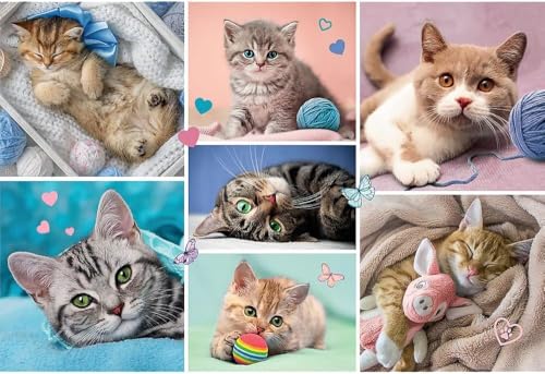 trefl-red-100-pi-ces-puzzle-enfant-monde-des-chats-5-ans image 8