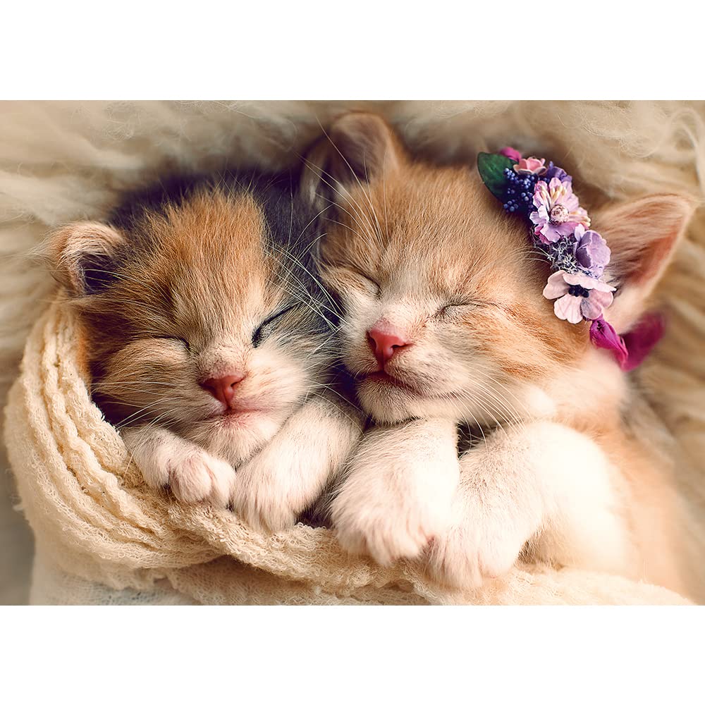 trefl-premium-plus-chatons-dormants-puzzle-500-pi-ces-chats image 2